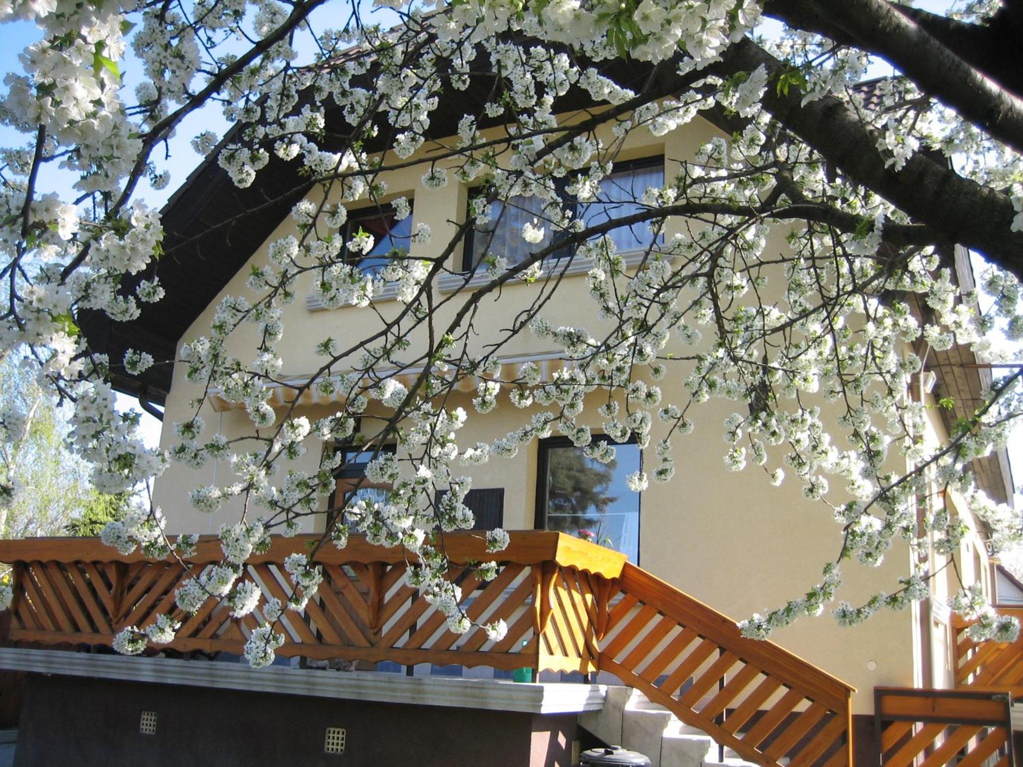 St. Michael Apartman view 5