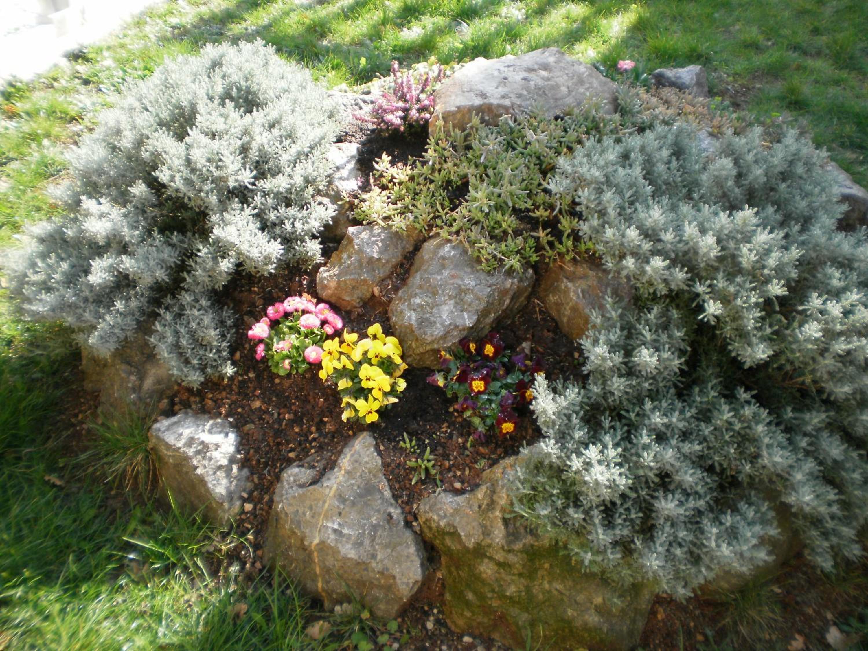 Photo 39