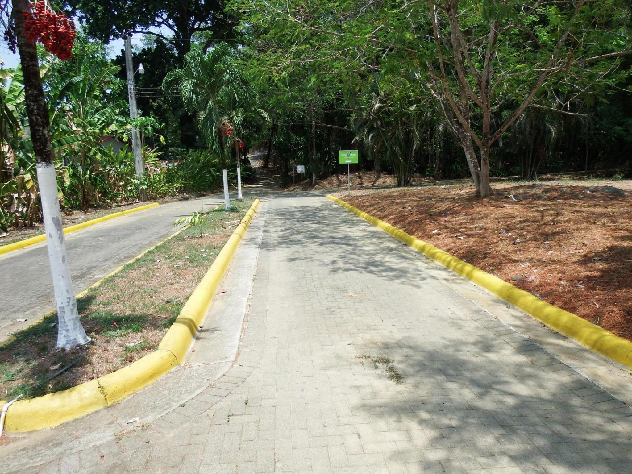 Selva Color - Forest & Beach EcoLodge