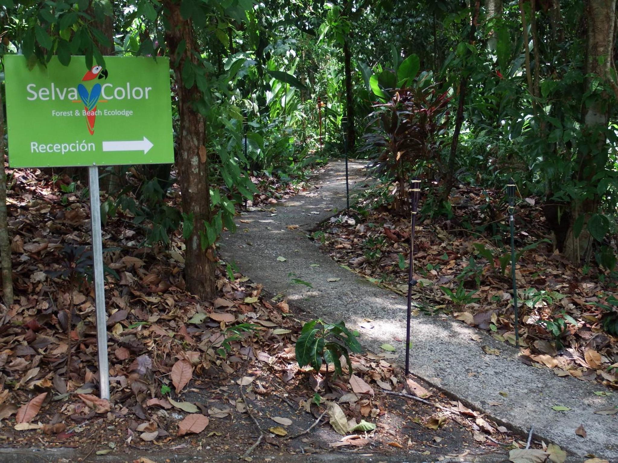 Selva Color - Forest & Beach EcoLodge