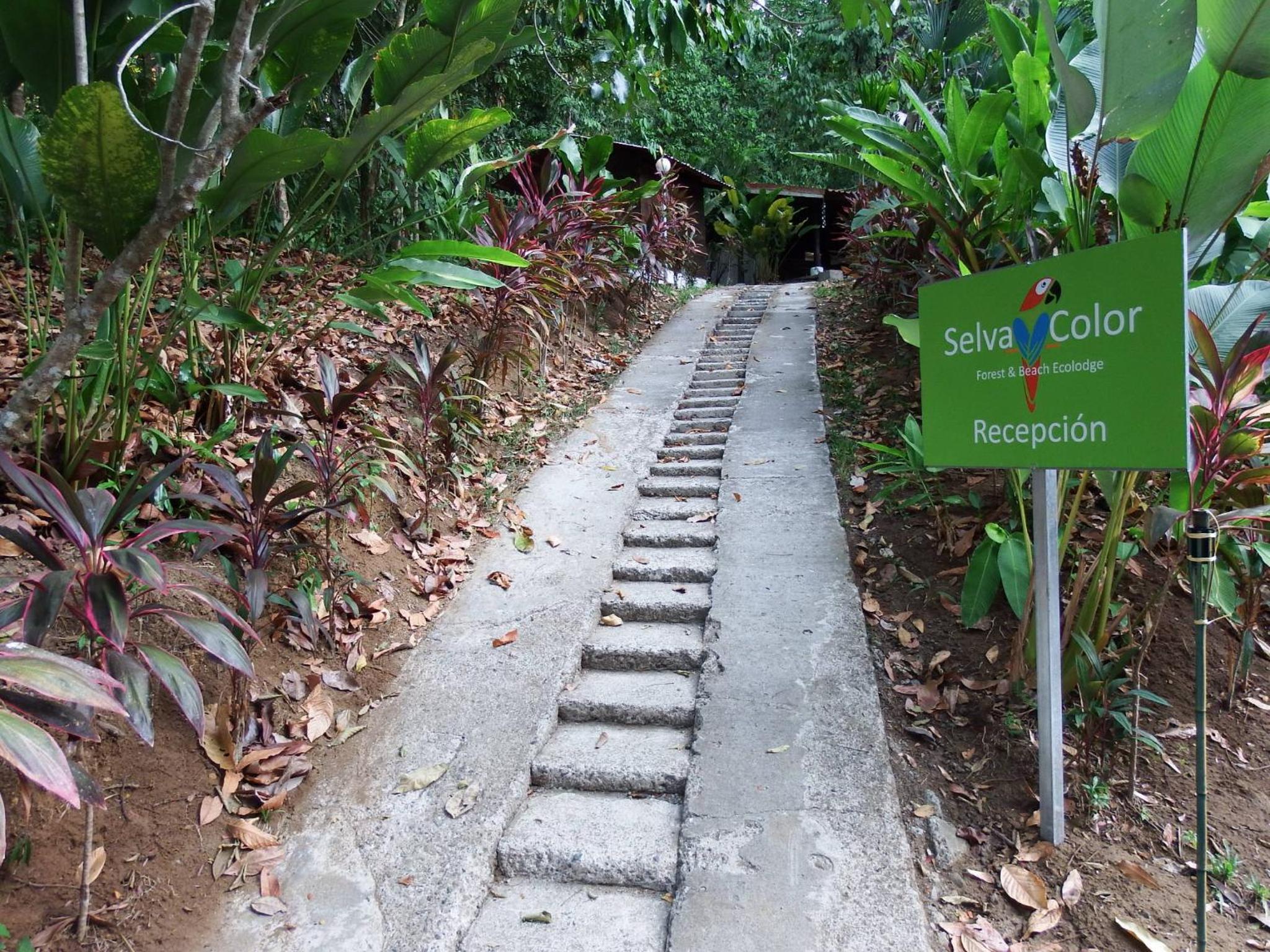 Selva Color - Forest & Beach EcoLodge