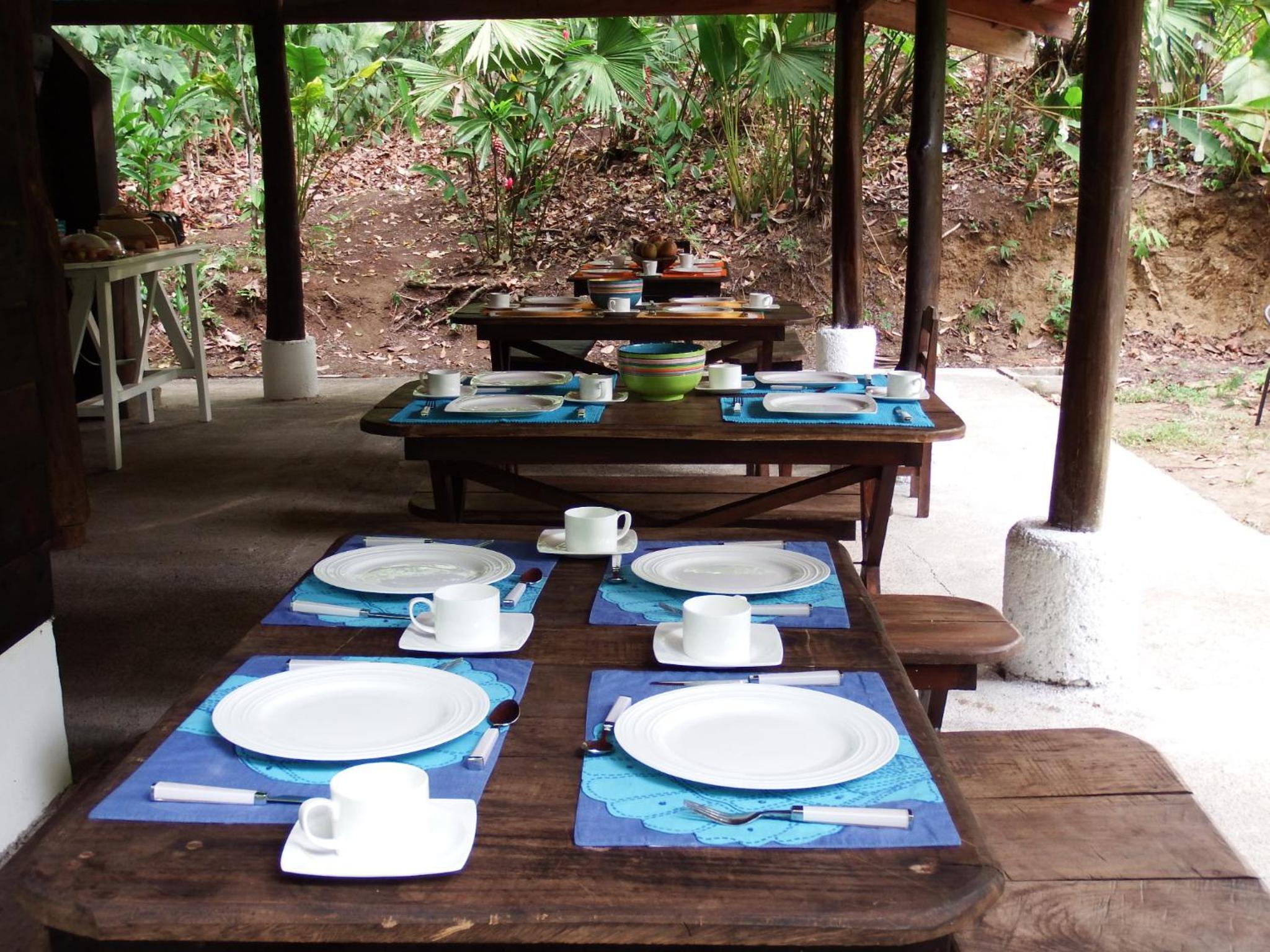 Selva Color - Forest & Beach EcoLodge