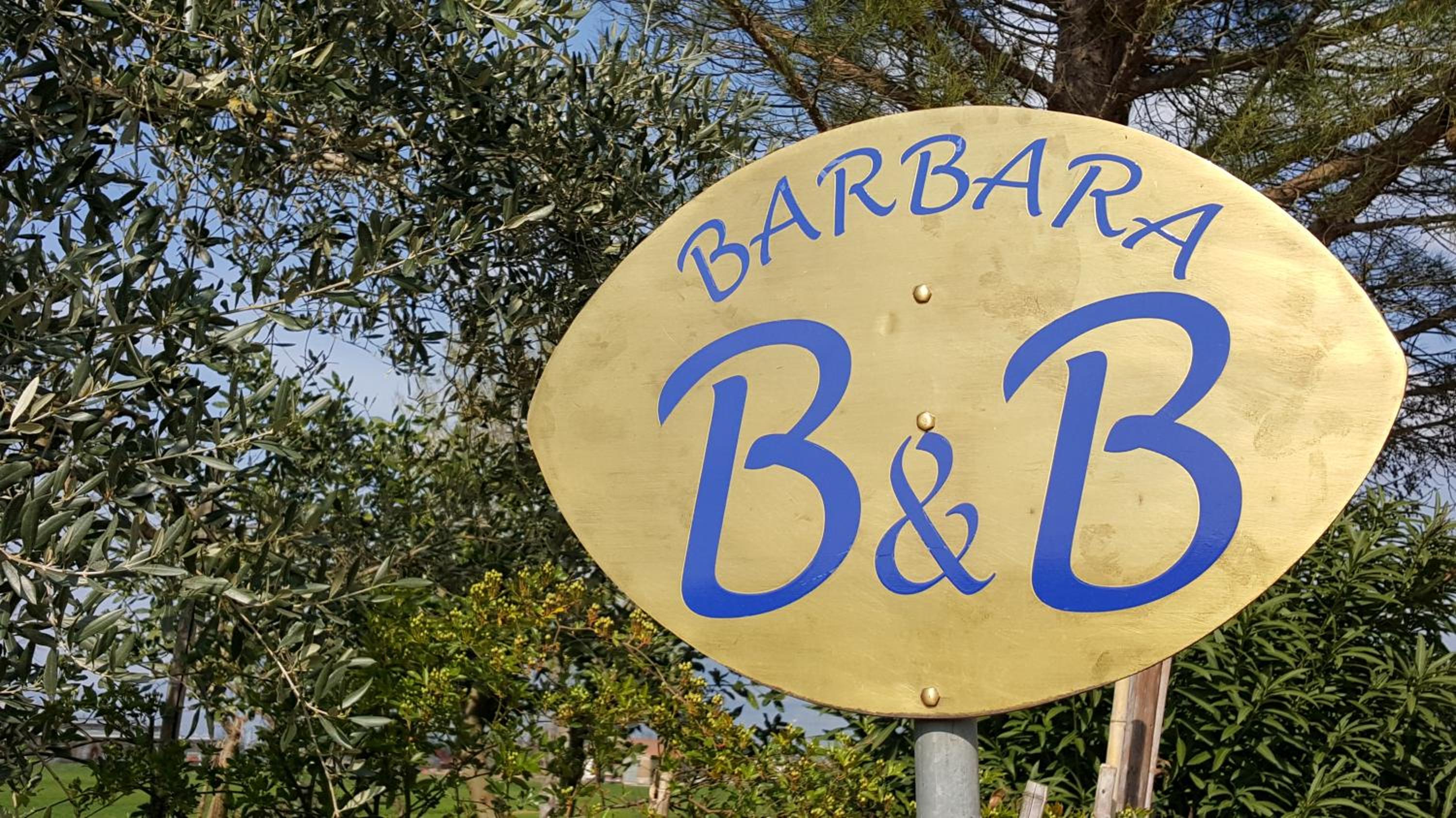 B&B Barbara Assisi photo 2