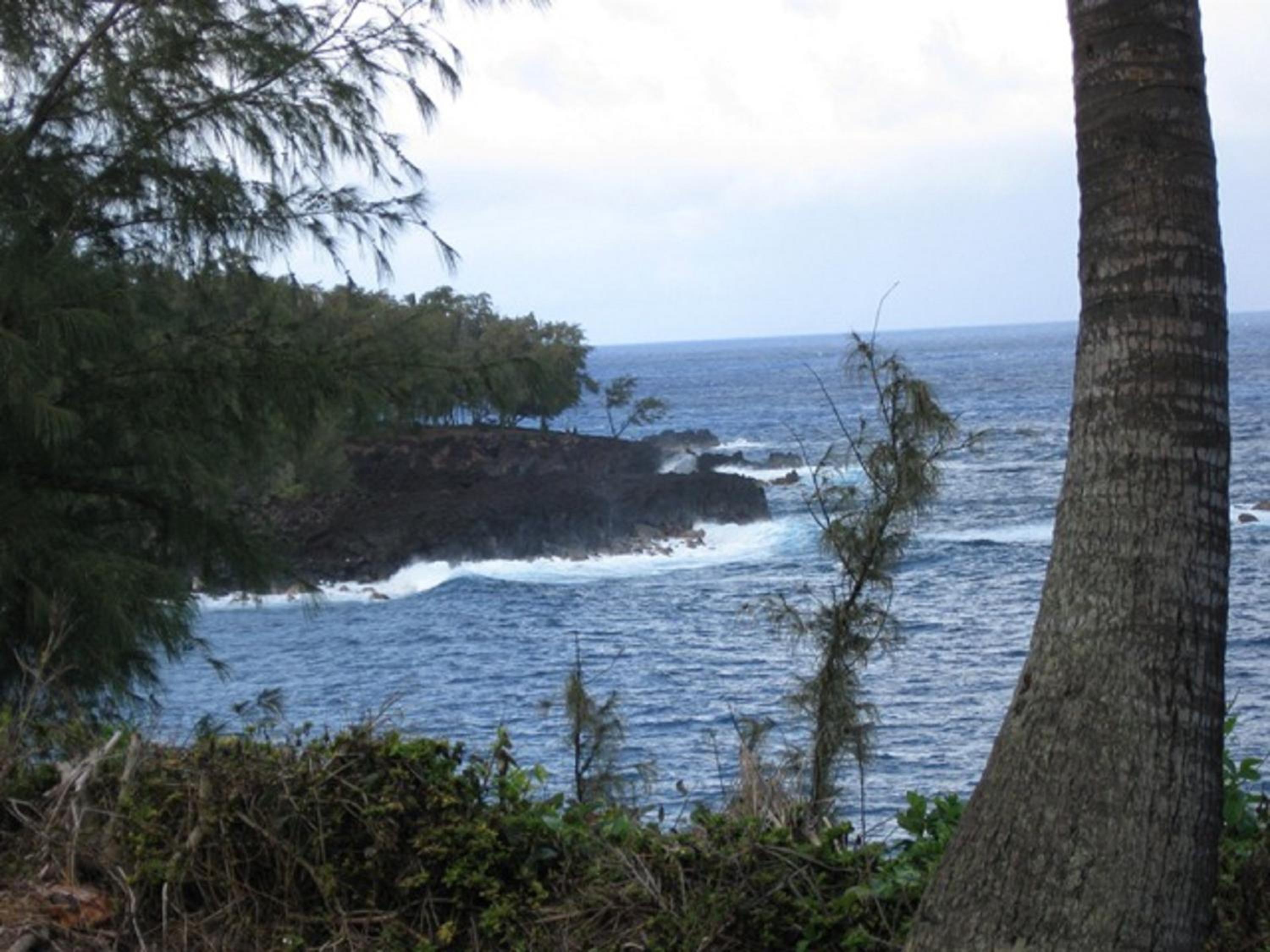 Photo 40