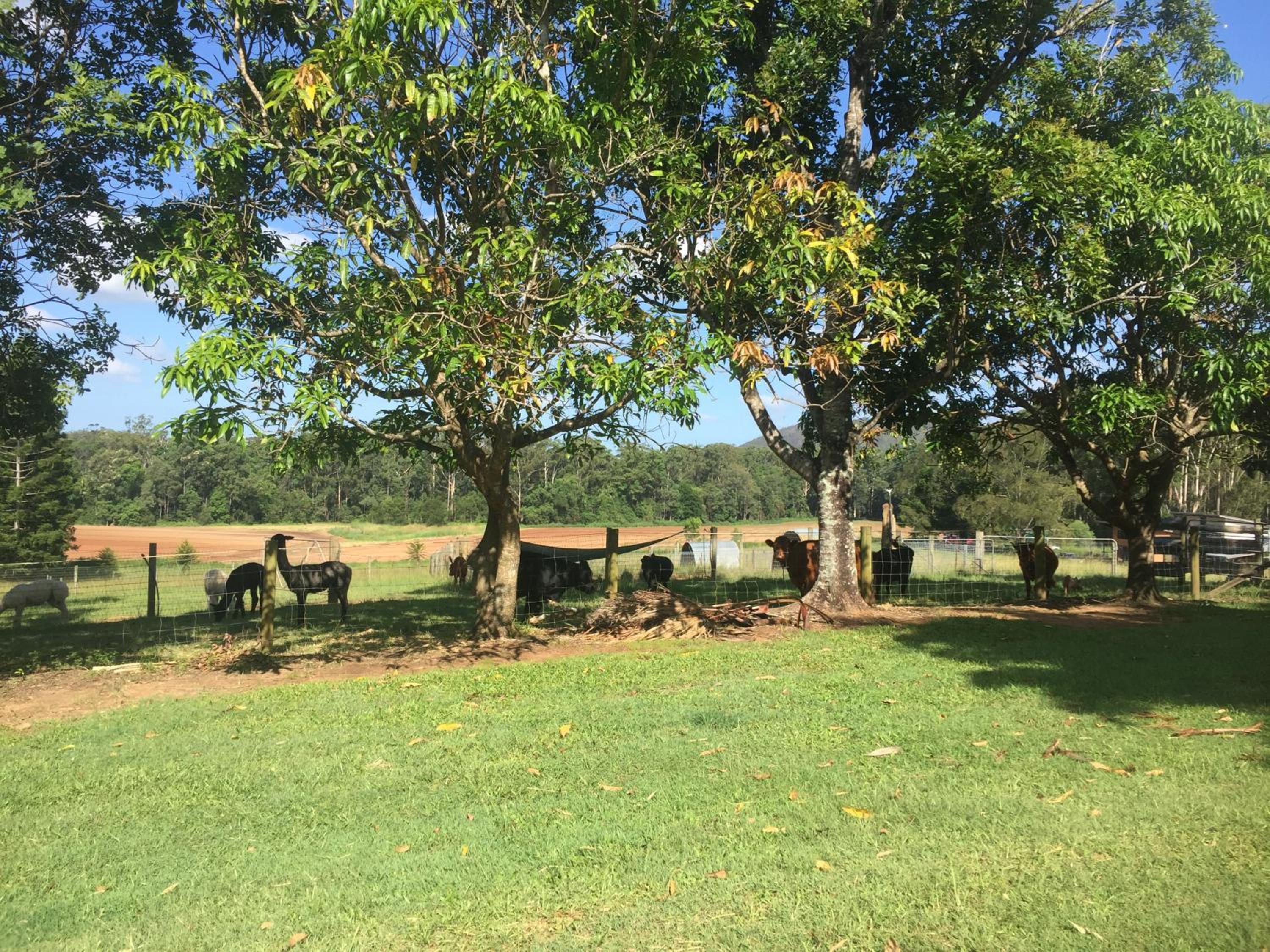 Blackwattle Farm