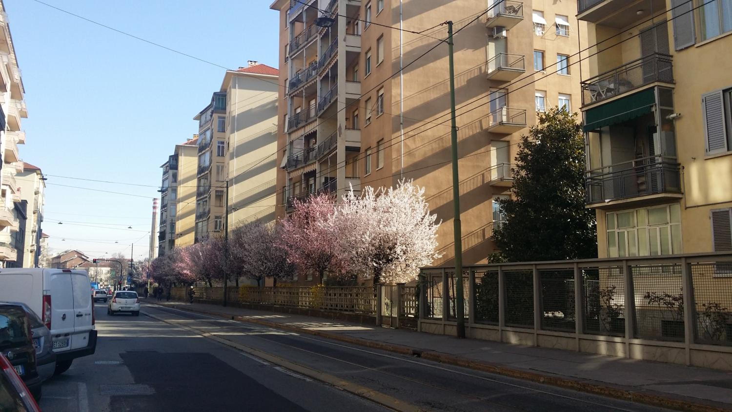 Il Sole e La Luna en Turin — other