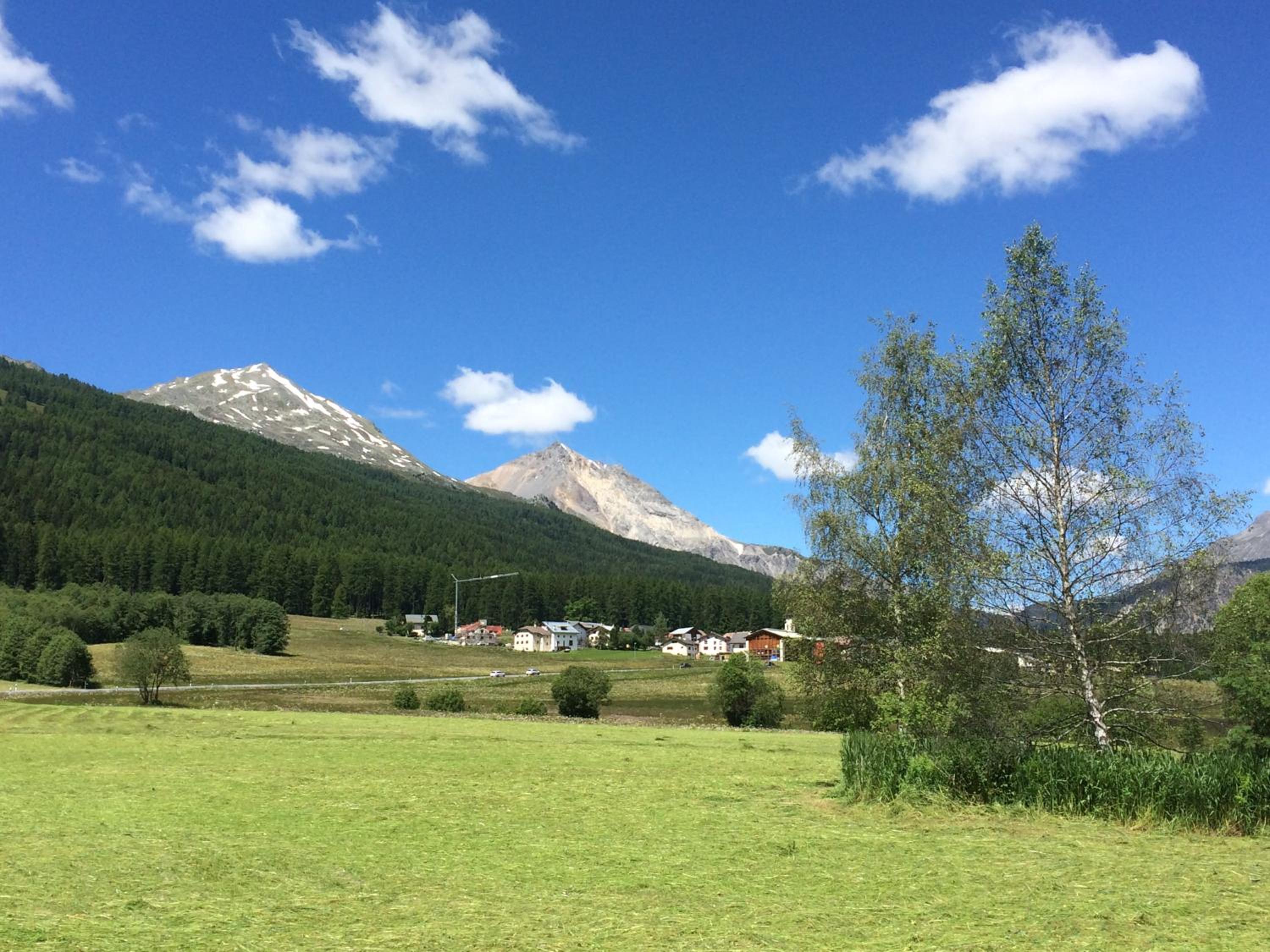 Photo 41