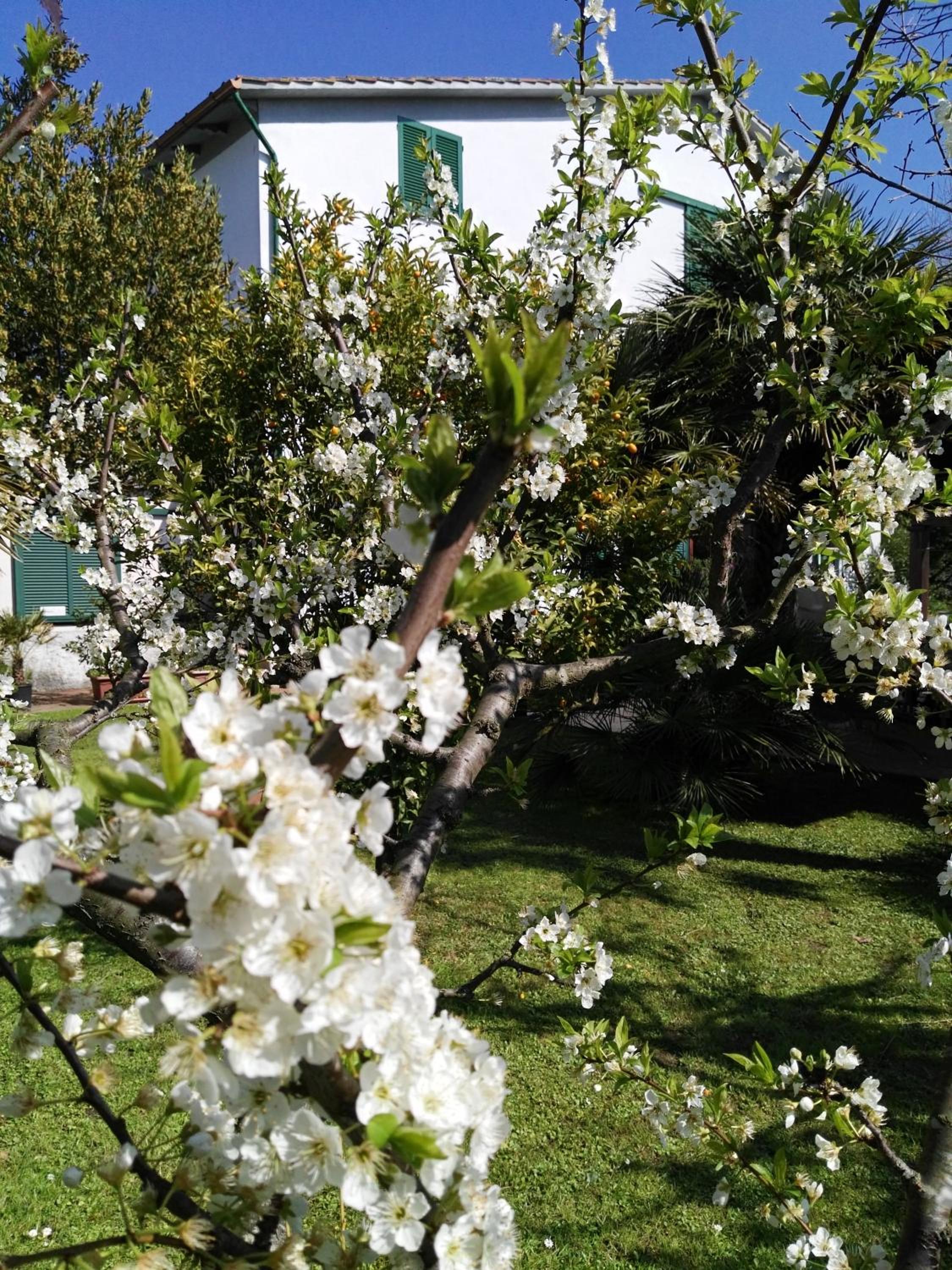 Photo 47