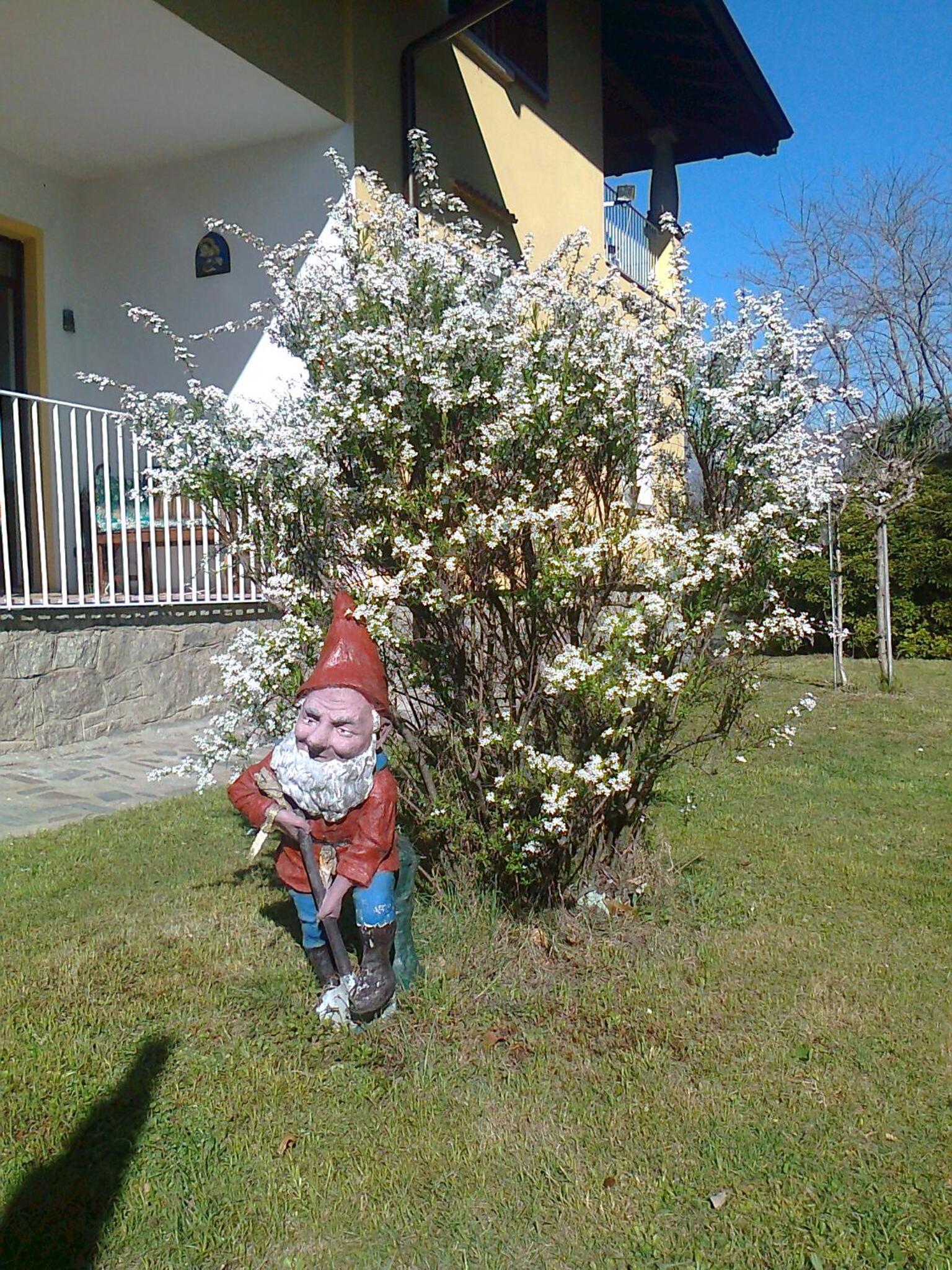 Photo 45