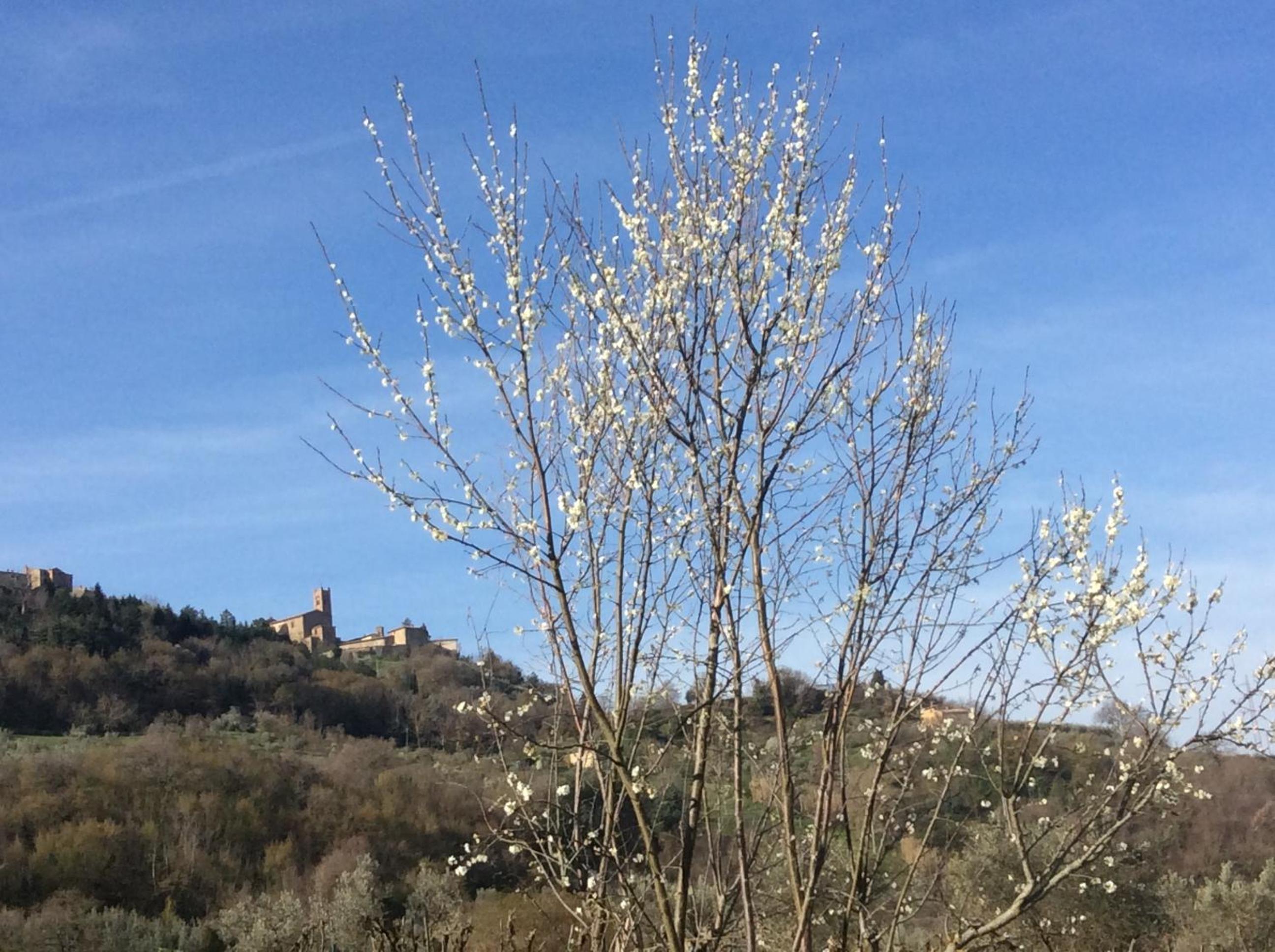 Agriturismo Le Canterie