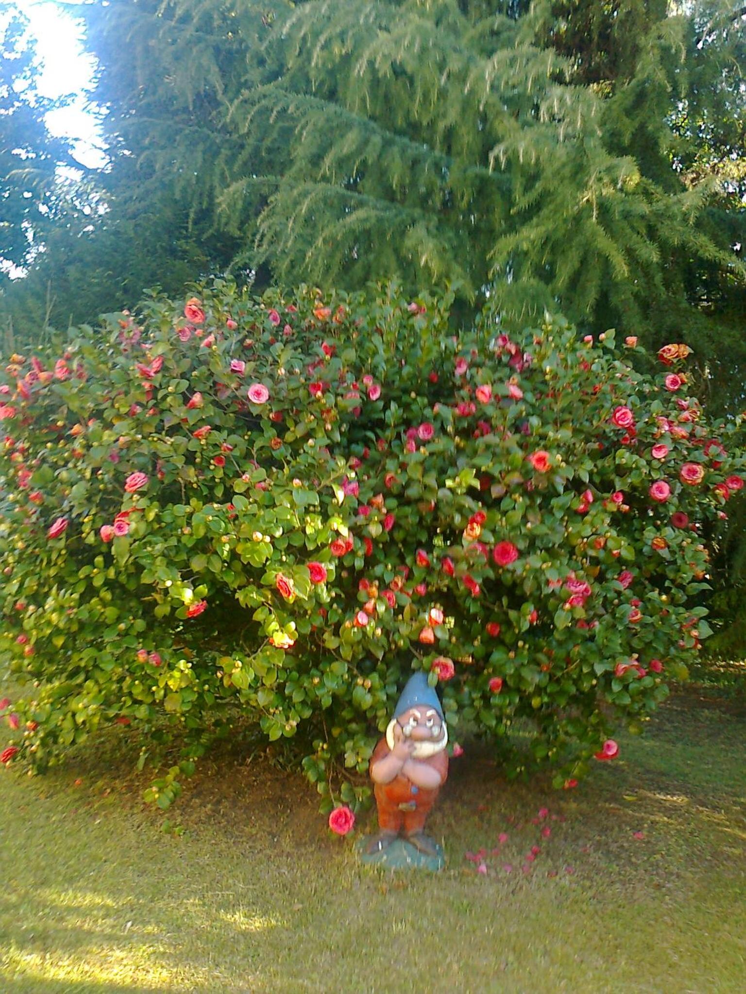 Photo 42
