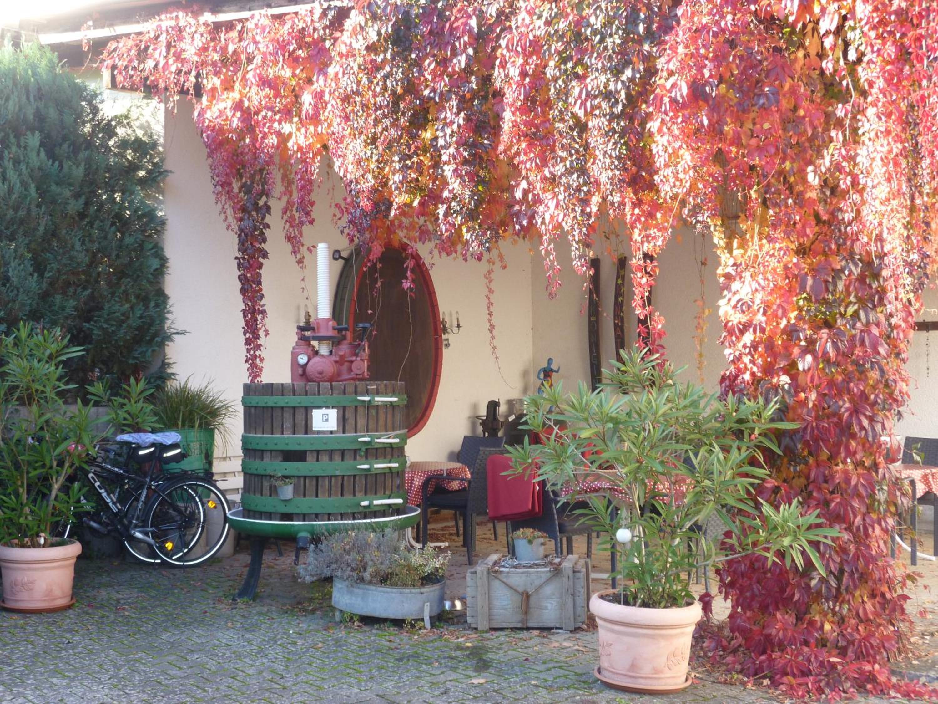 Photo 26