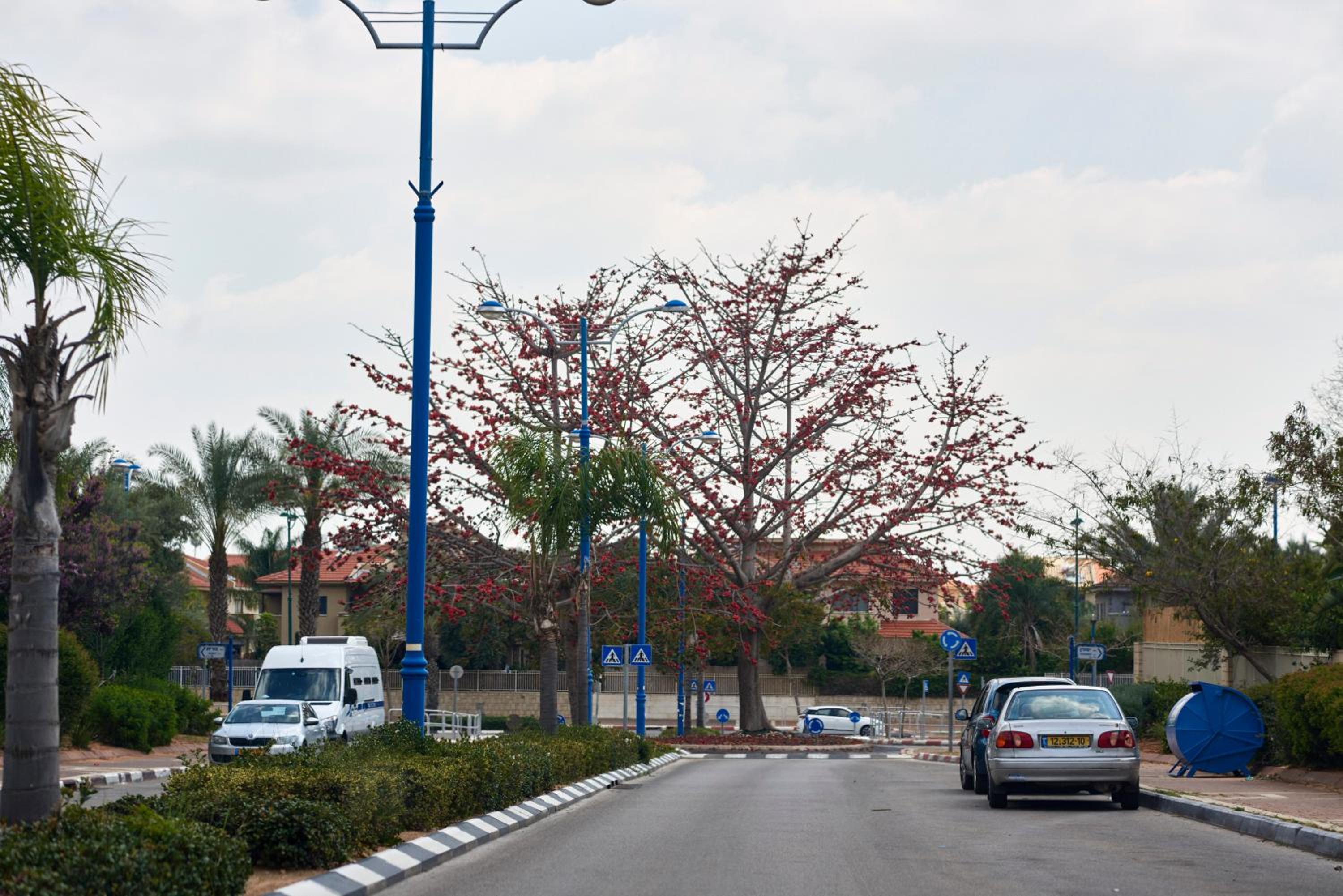 Like Home Gedera