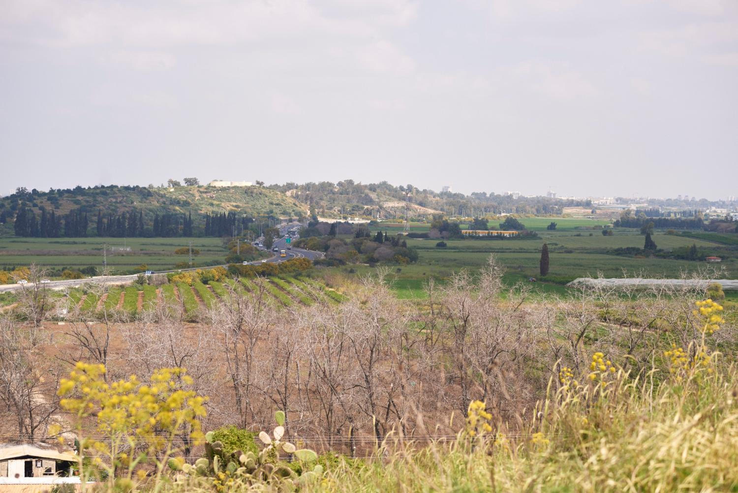Like Home Gedera