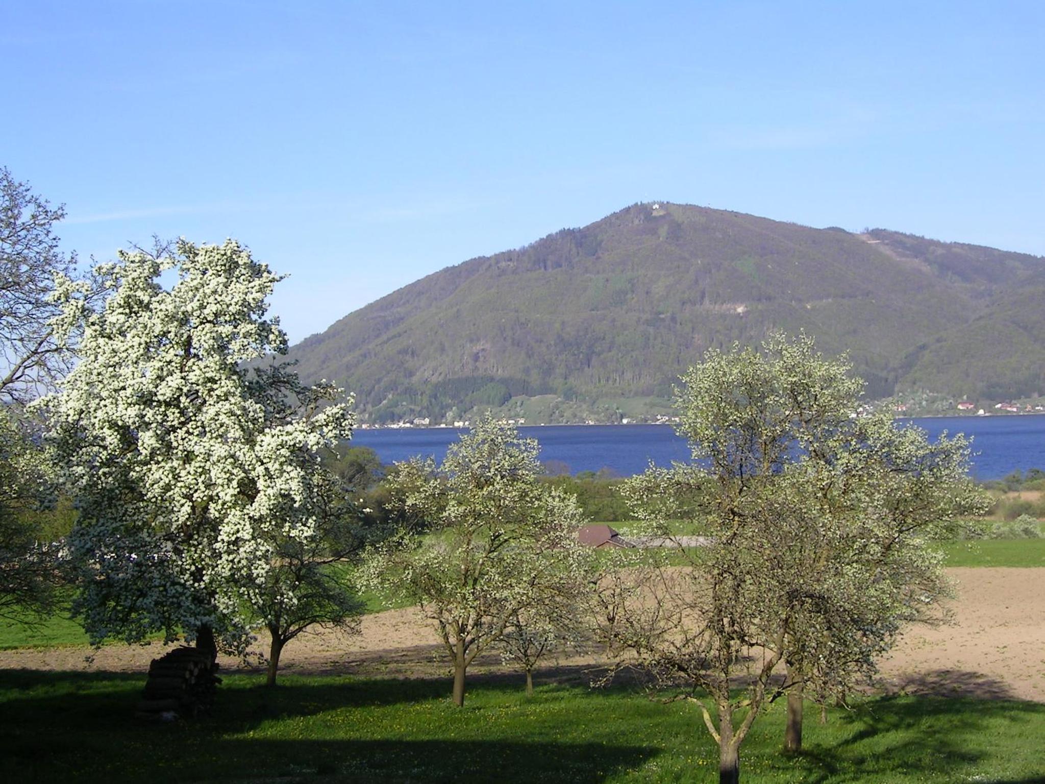 Landgut Wagnerfeld