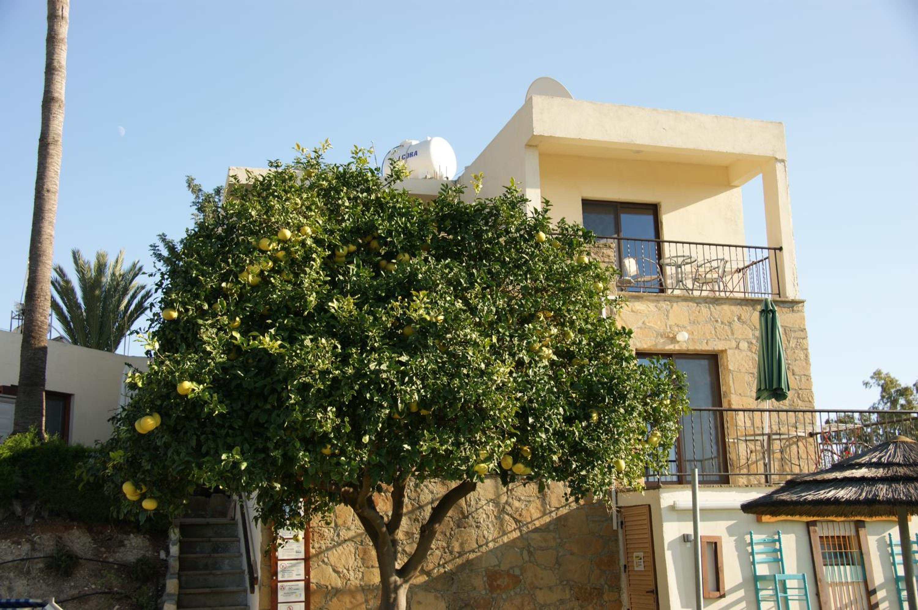 George Houses