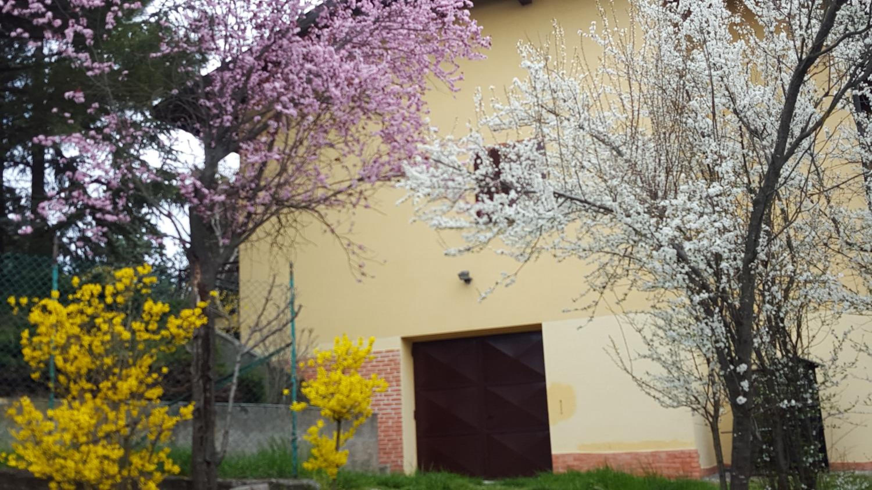 Allevamento B&B