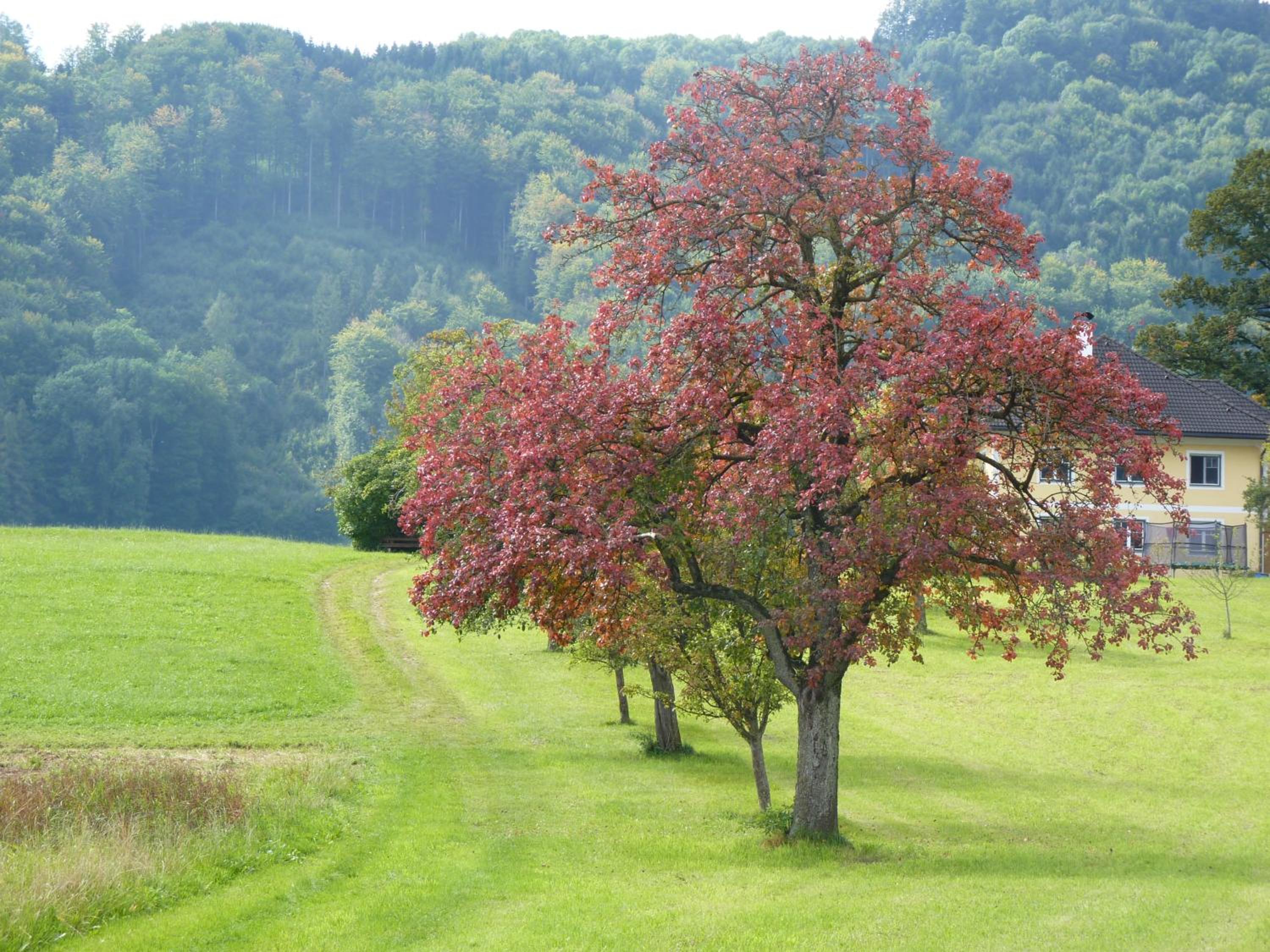 Landgut Wagnerfeld