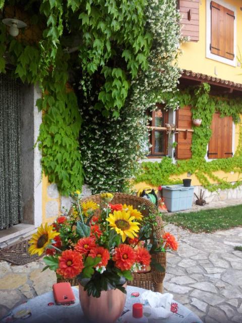 Photo 35