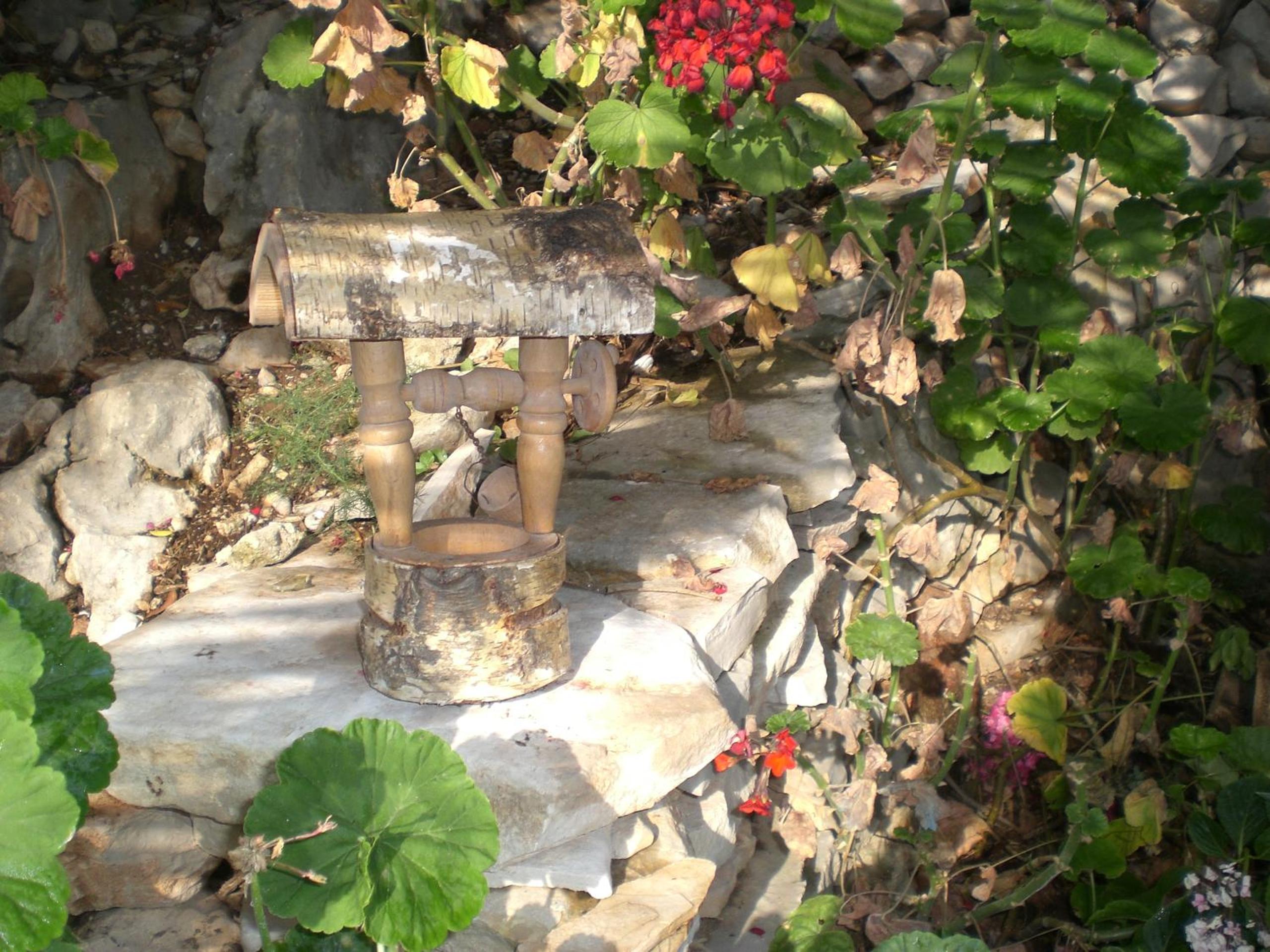 Photo 43