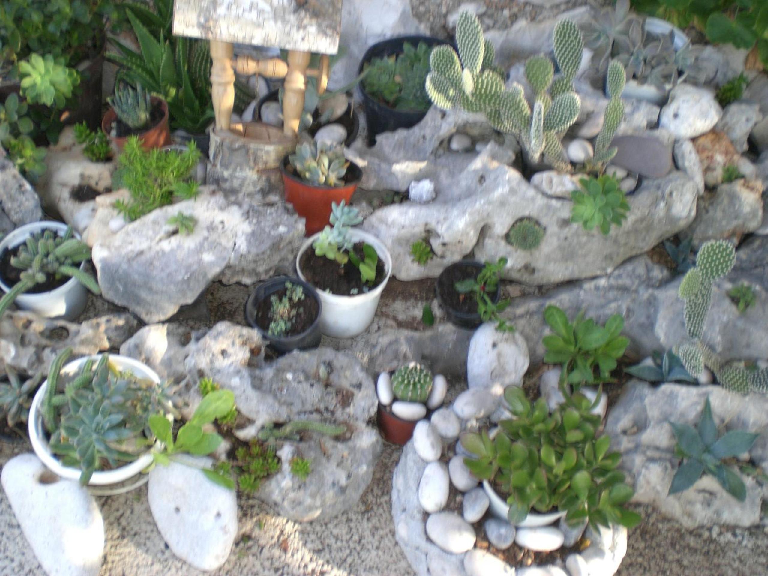 Photo 20