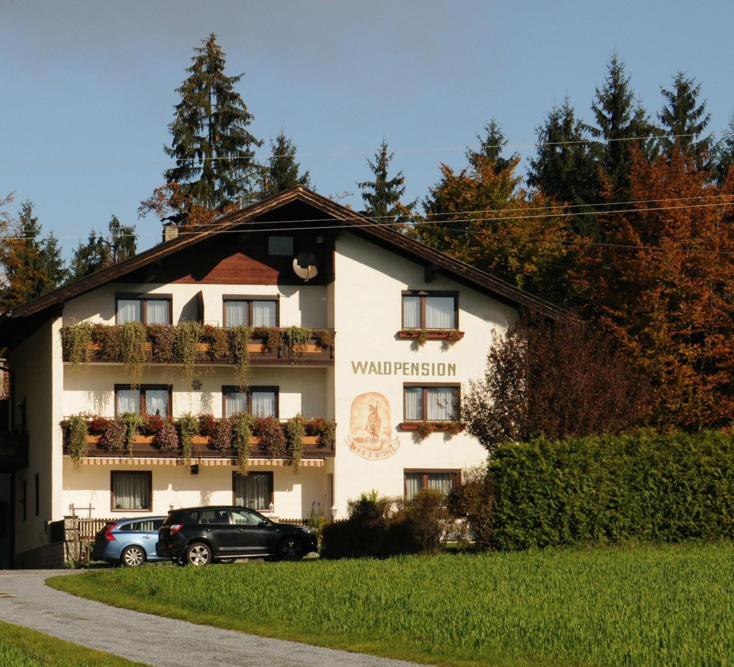 Waldpension Schiefling am See