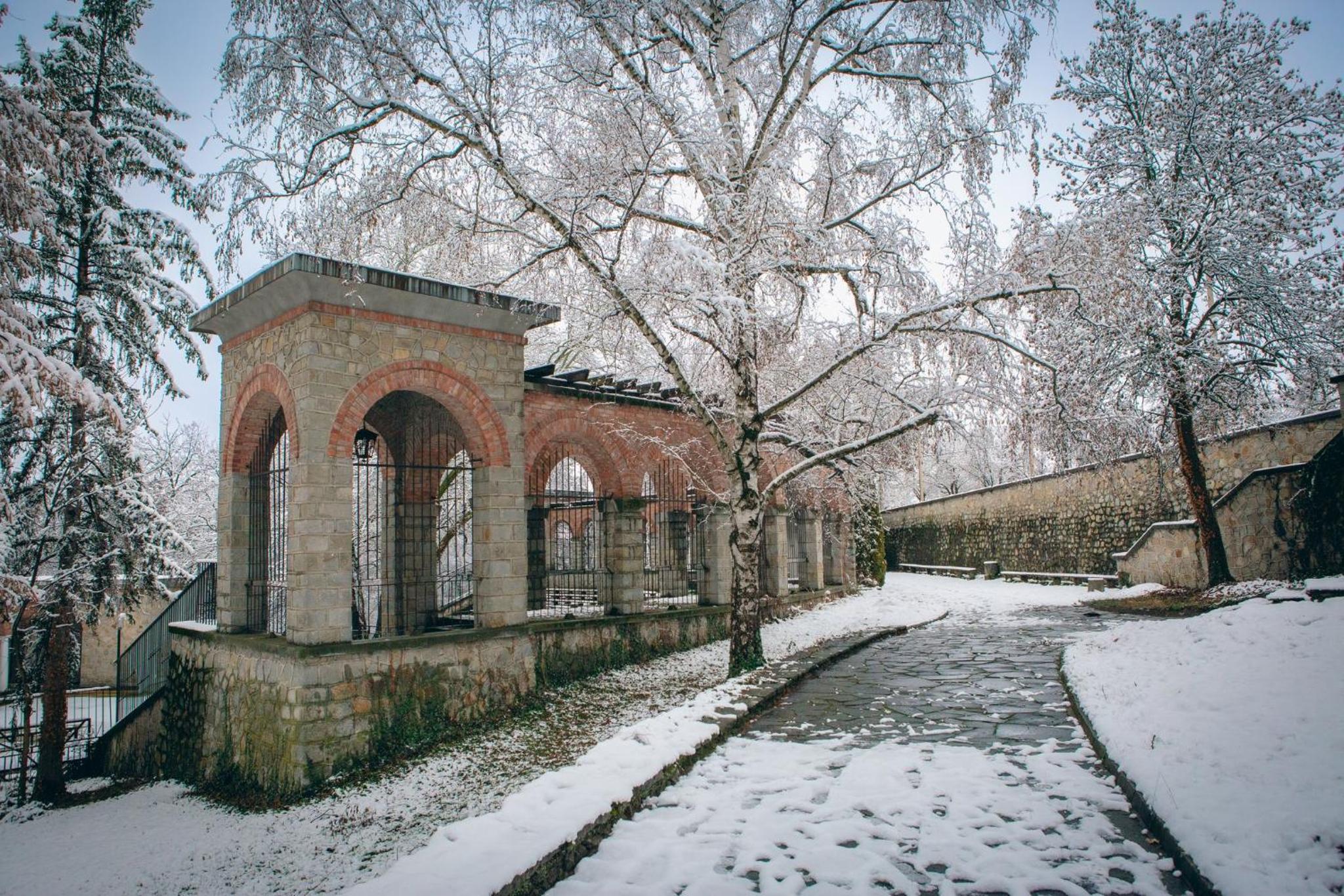 Харизма
