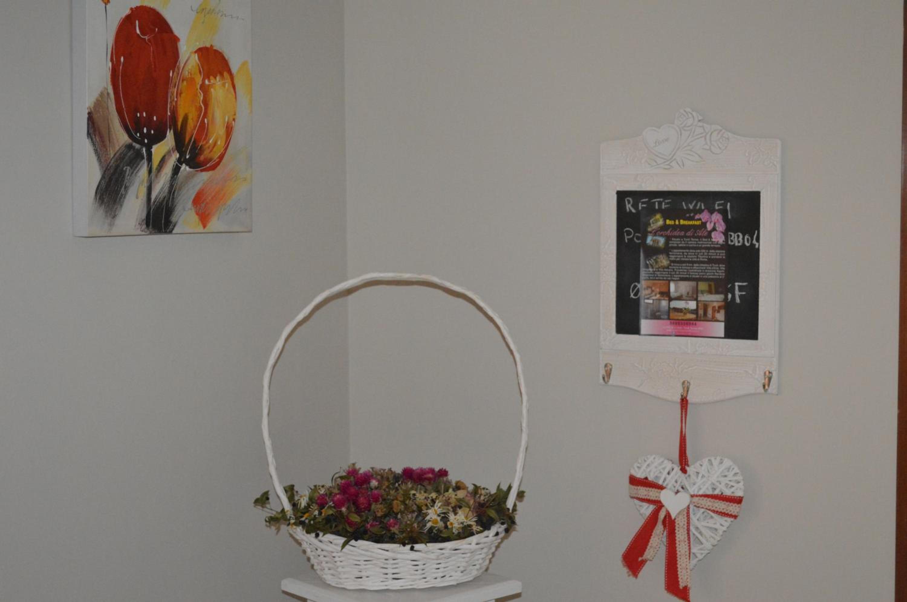 L'Orchidea di Ale