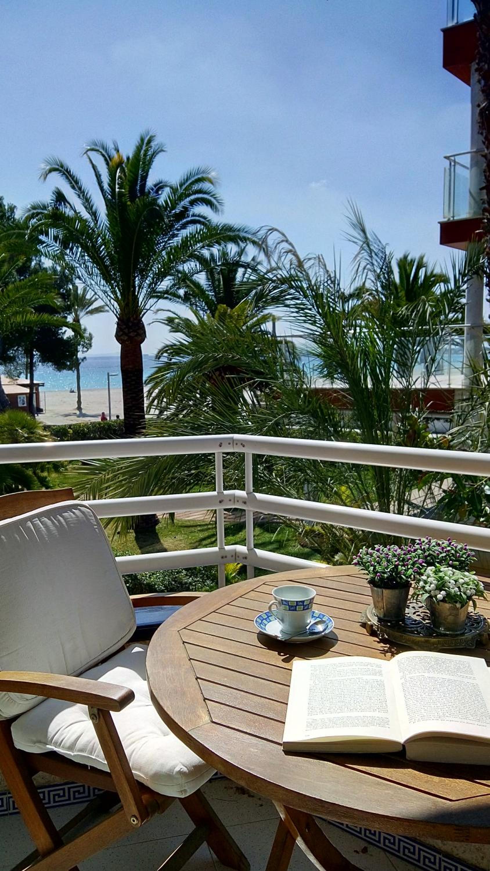 Balcony & Terrace