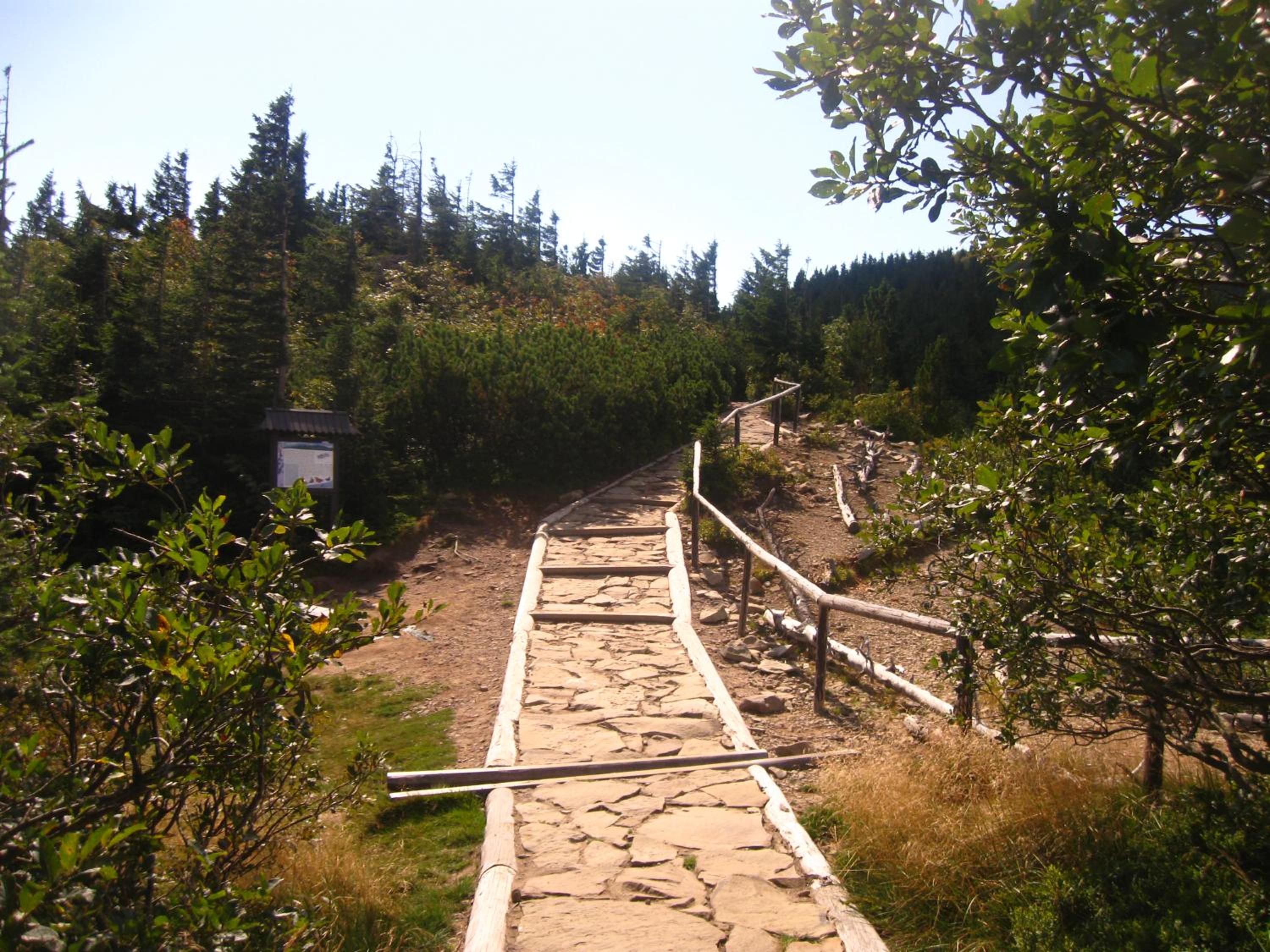Photo 29