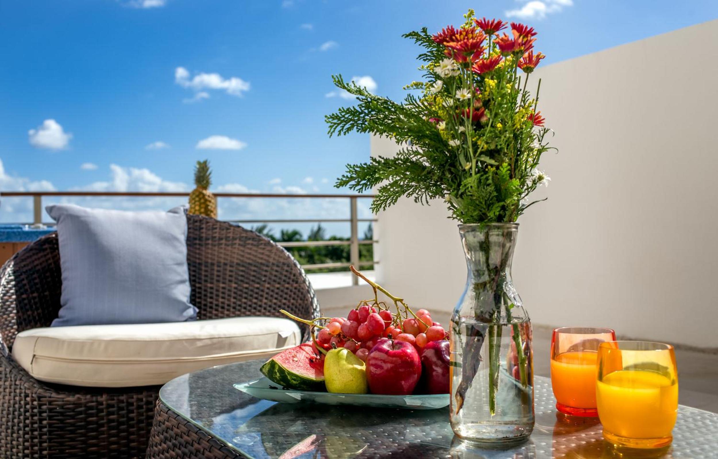 balance & terrace
