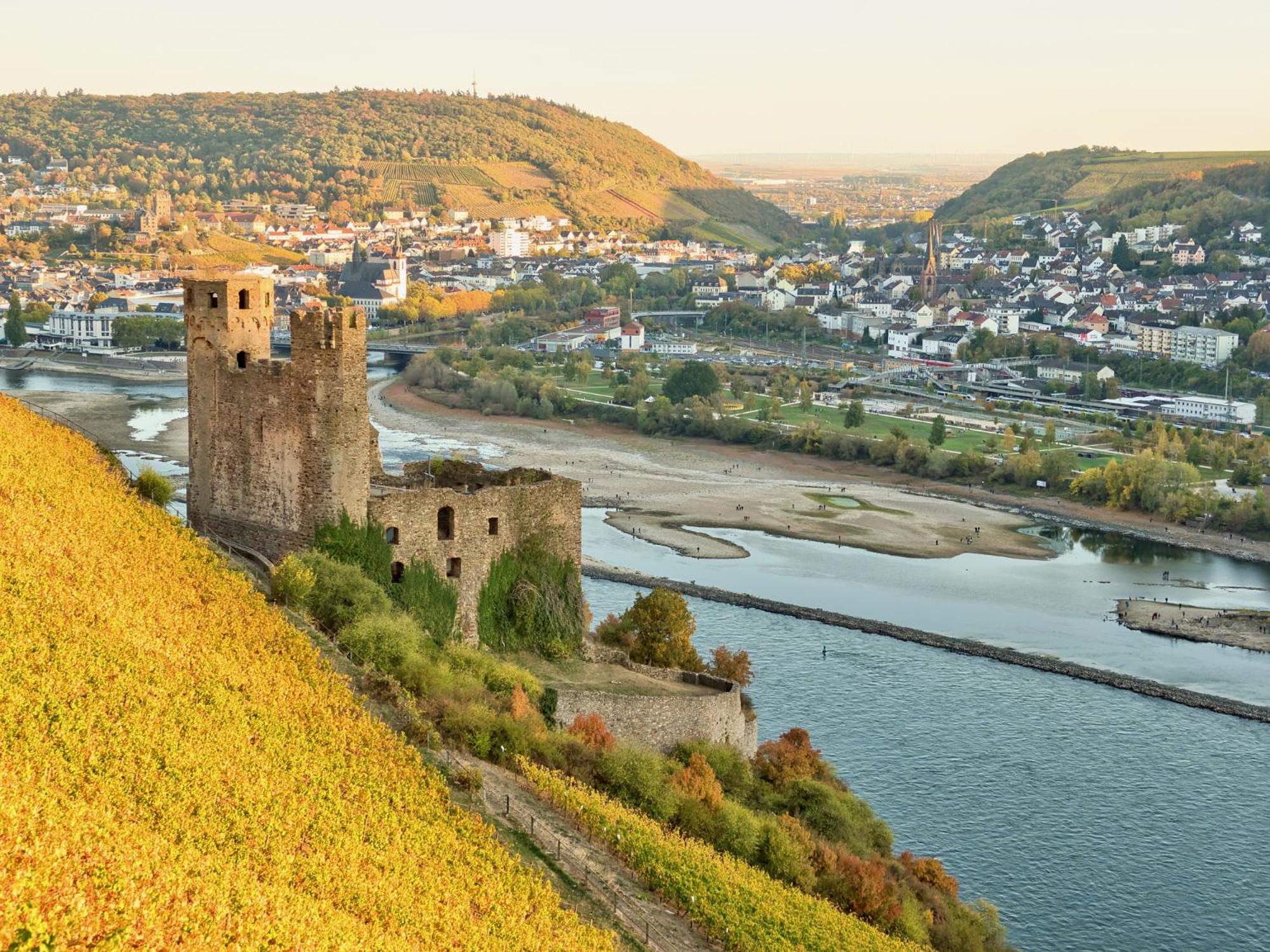 LaBed - Wohnen direkt an der Drosselgasse, stilvolle Ferienwohnung mit Rheinblick