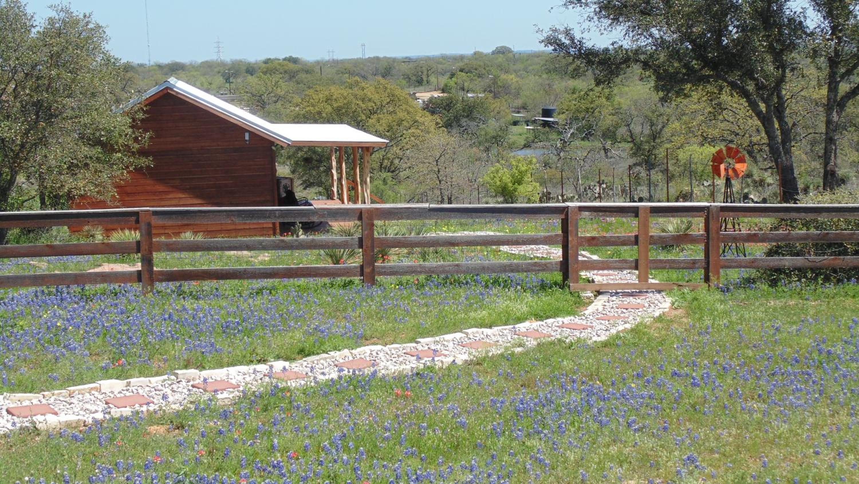 Texas T Bed and Breakfast view 2