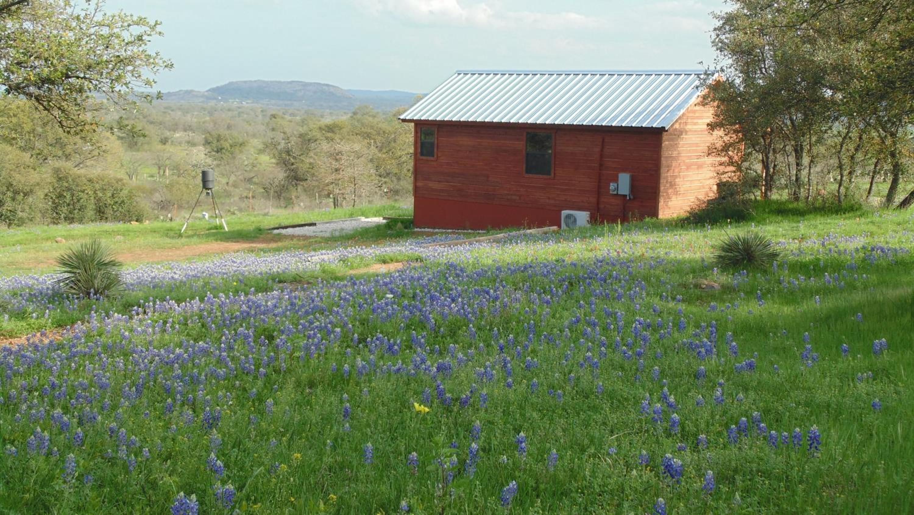 Texas T Bed and Breakfast view 5