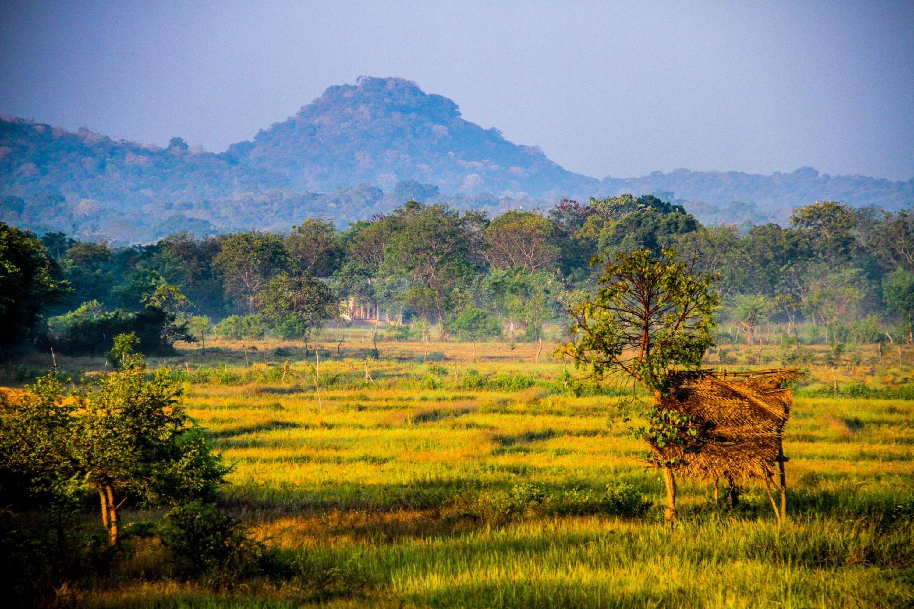 Yala Way Hide Resort