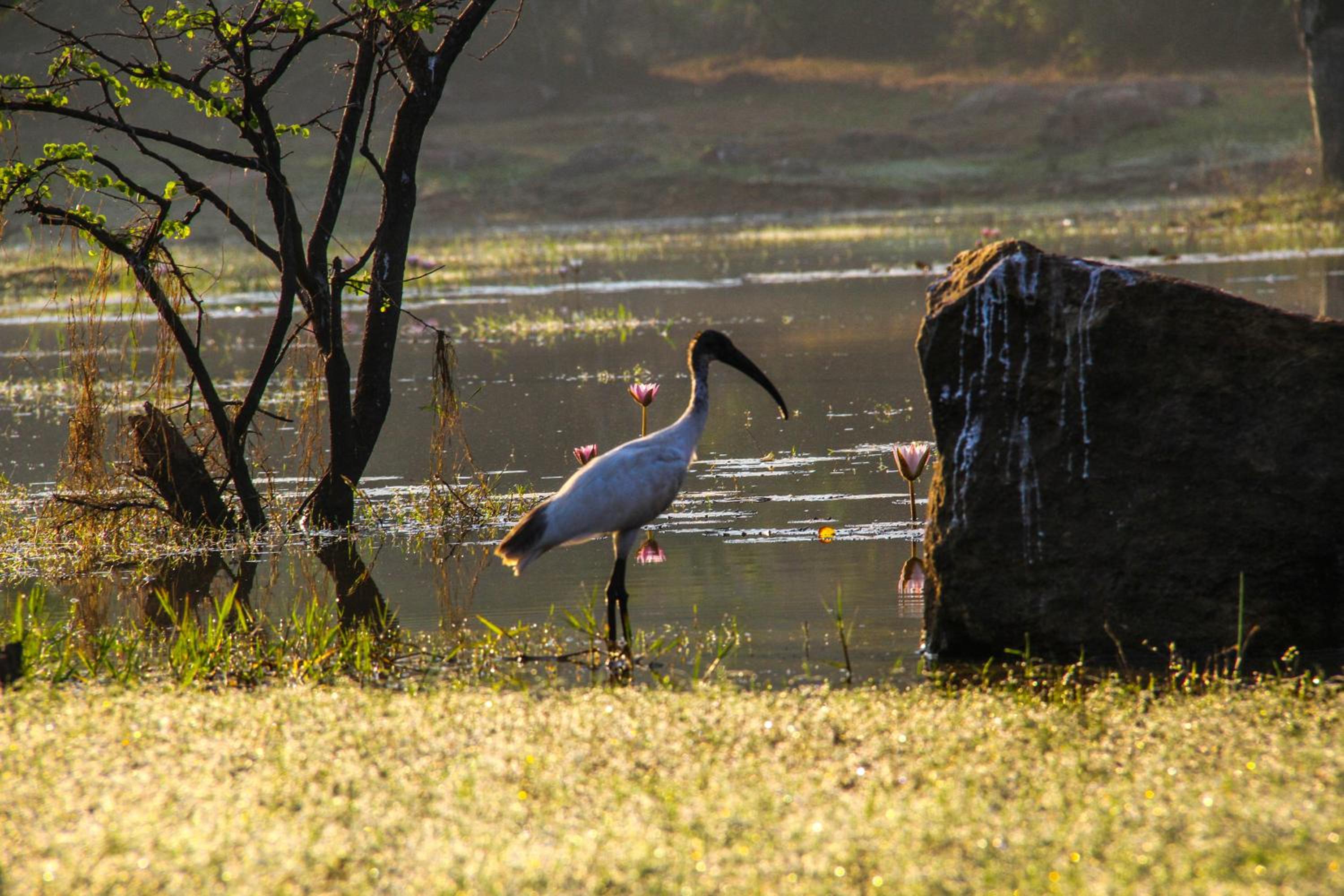 Yala Way Hide Resort