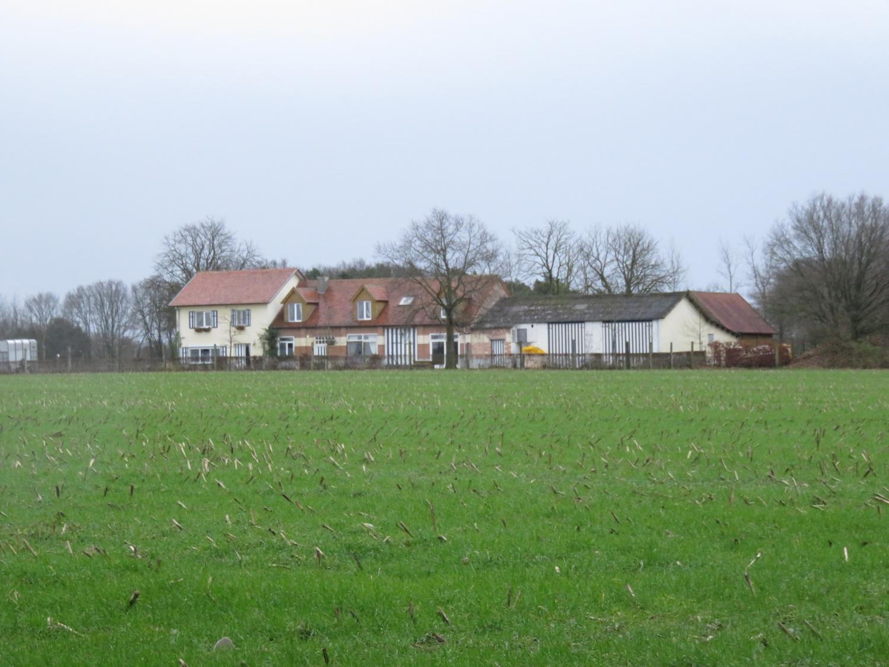 De Blauwe Maaten