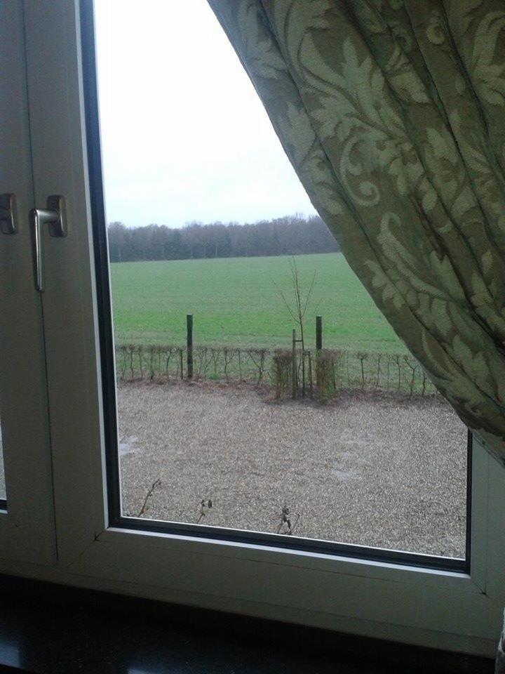De Blauwe Maaten