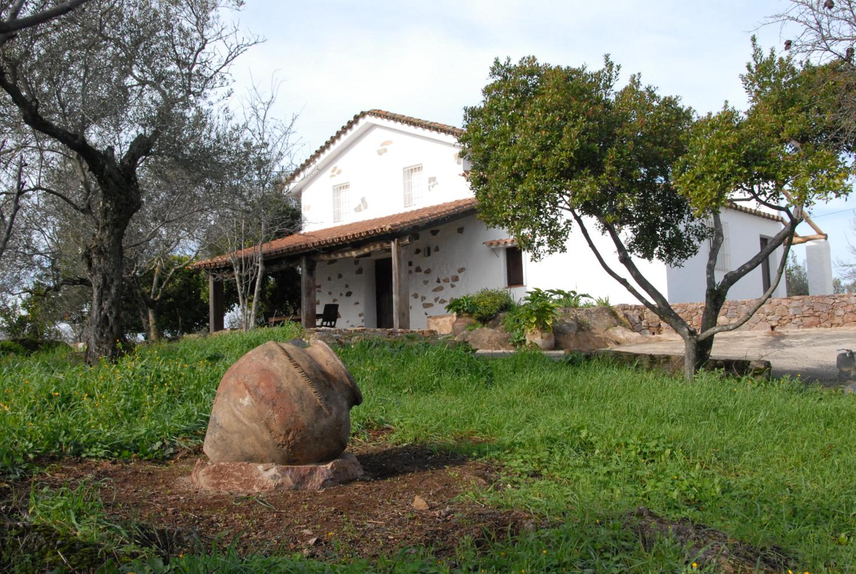 Photo 37