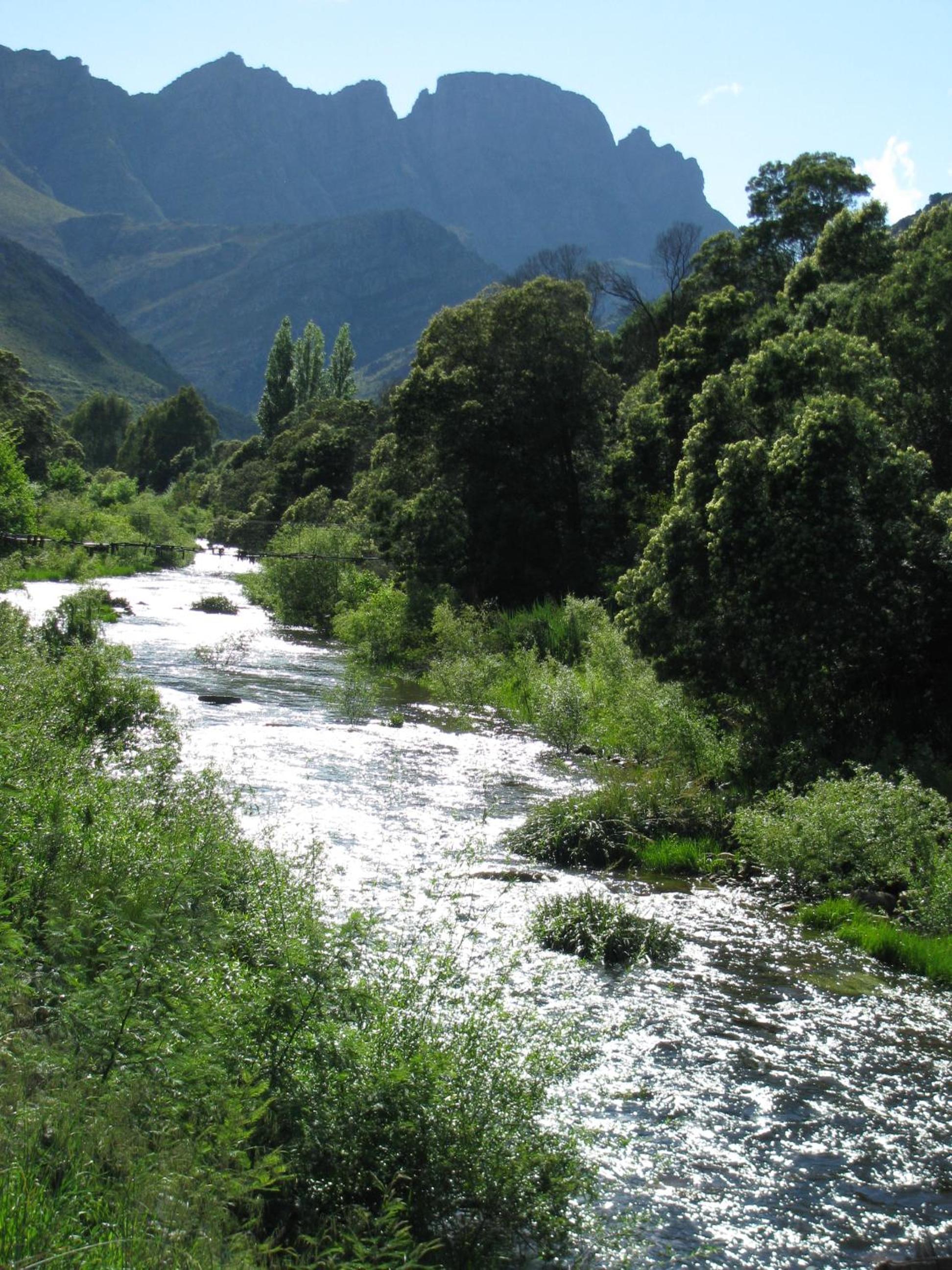 The River Siding view 2