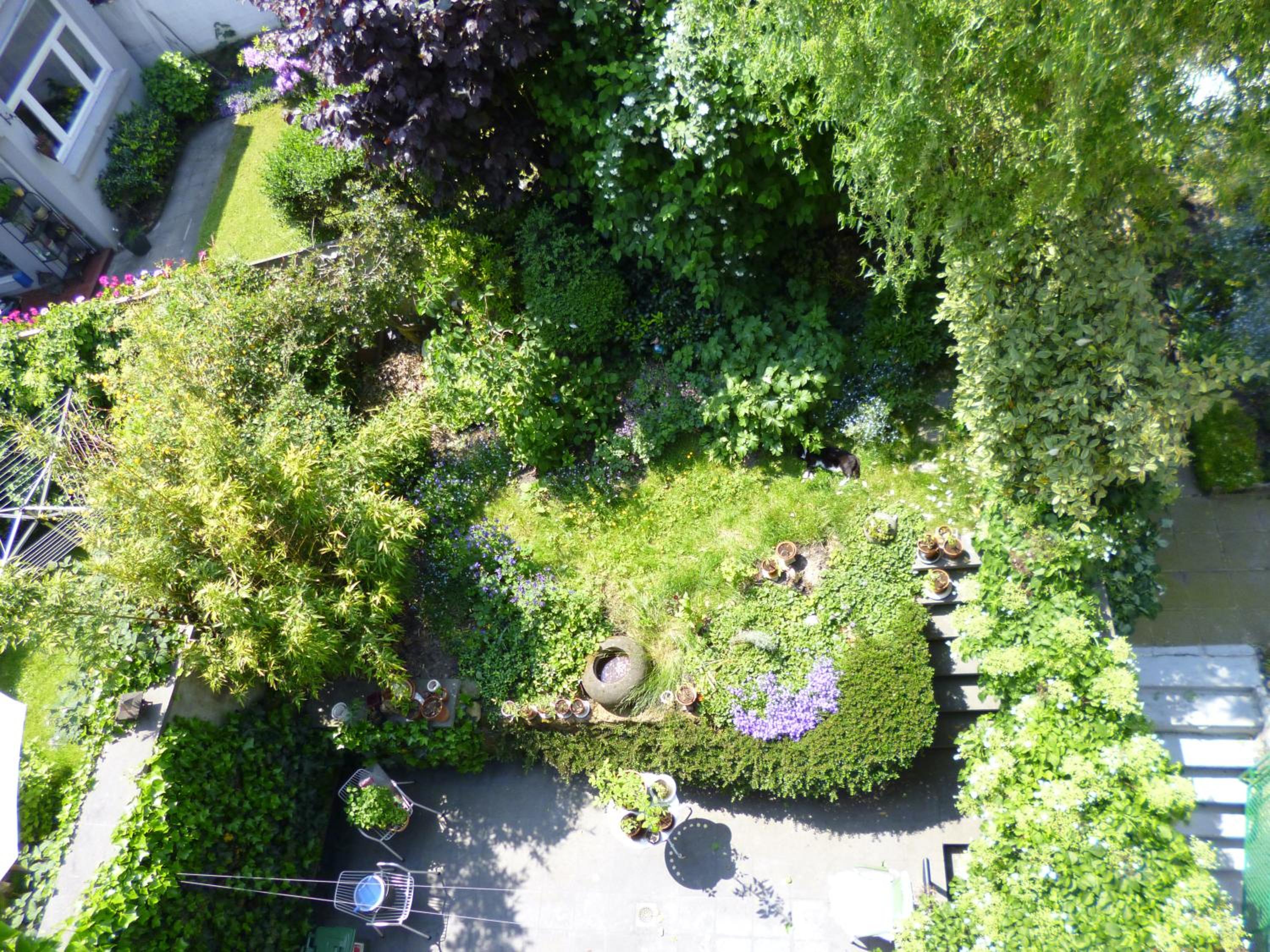 B&B Matin Tranquille, photo 36