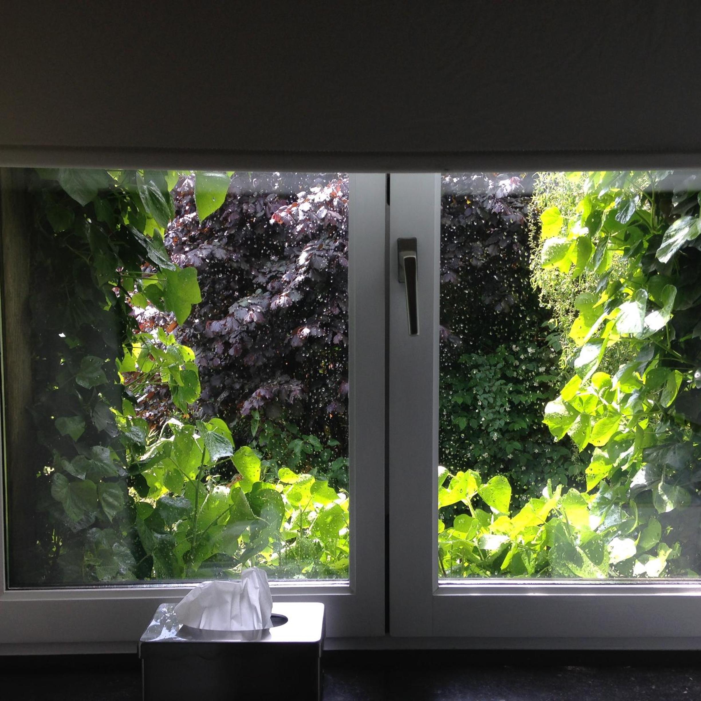 B&B Matin Tranquille, photo 32