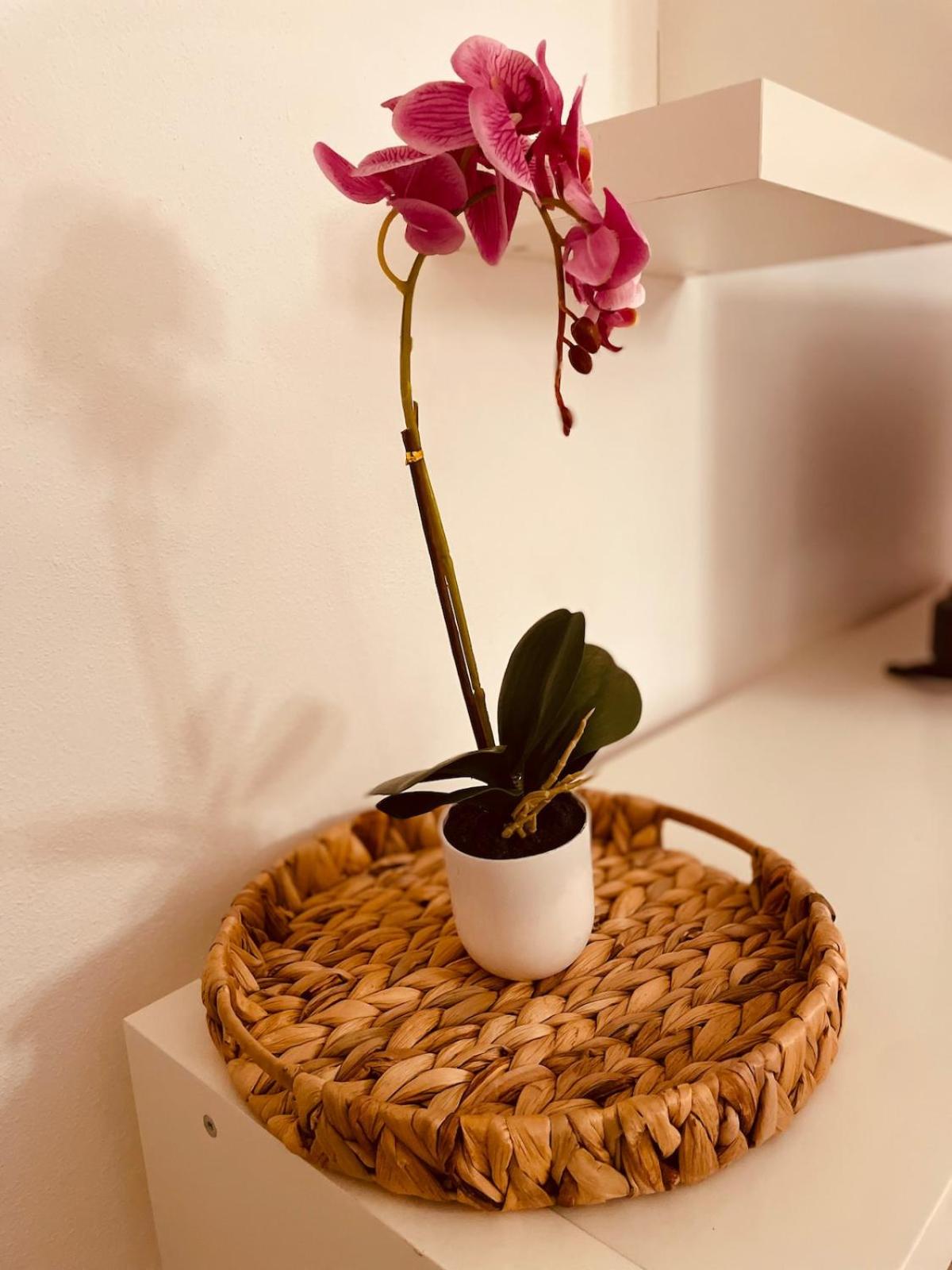 CarLuccia Apartment