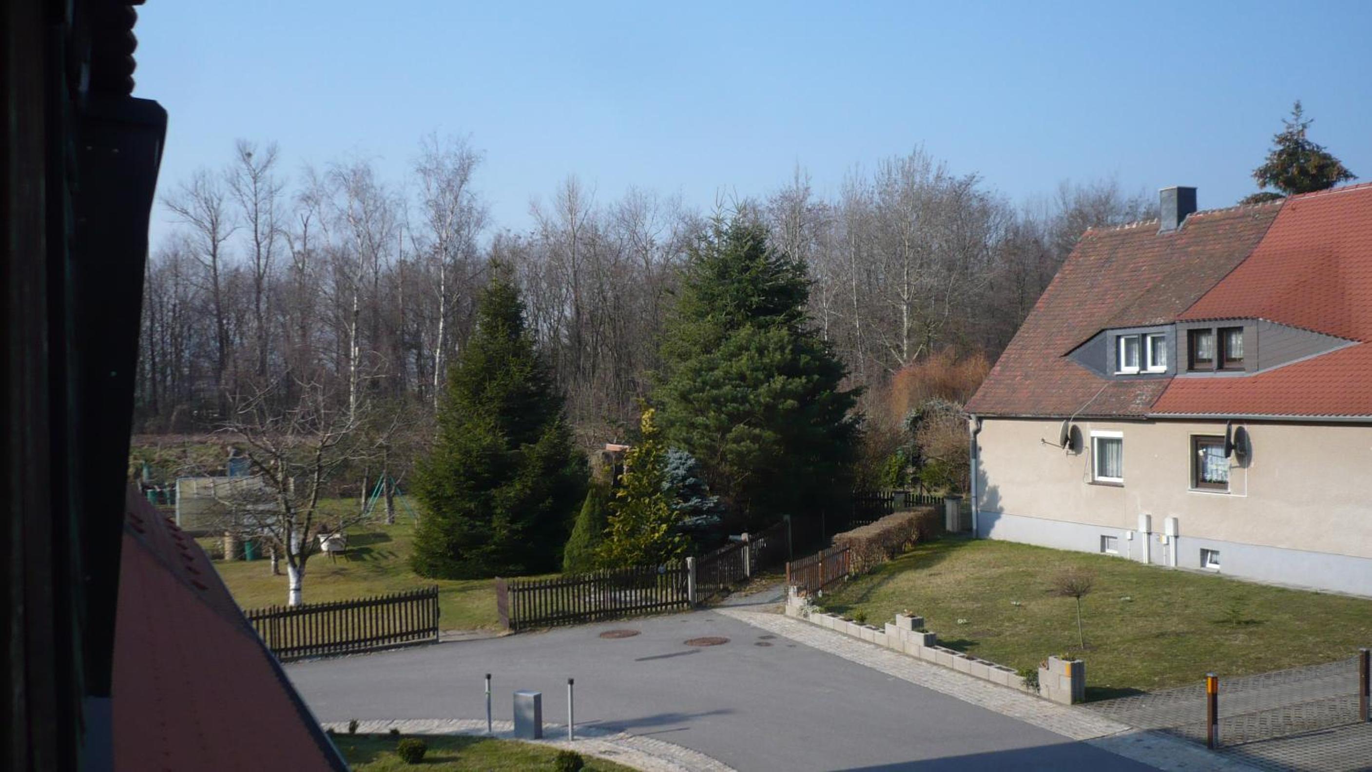 Photo 43