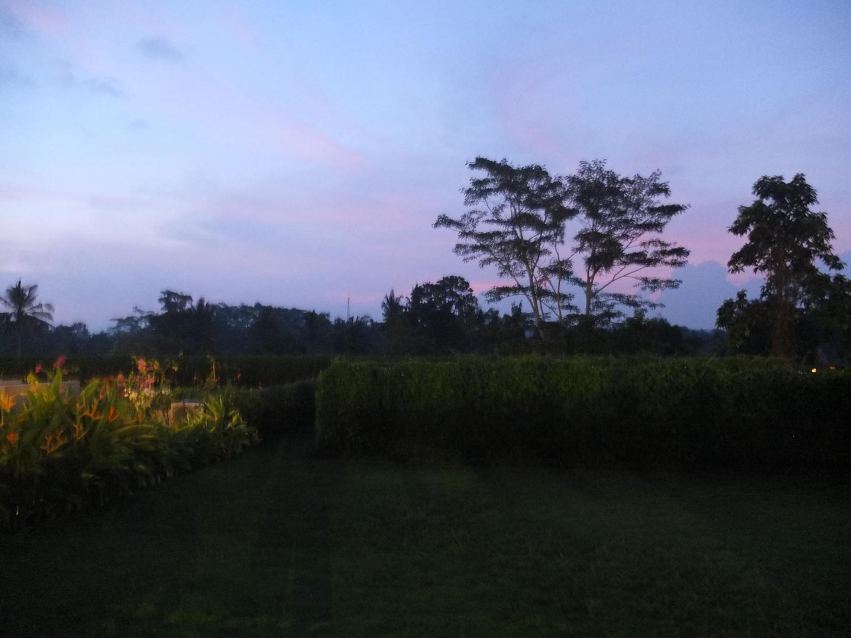 Ubud Wana Resort