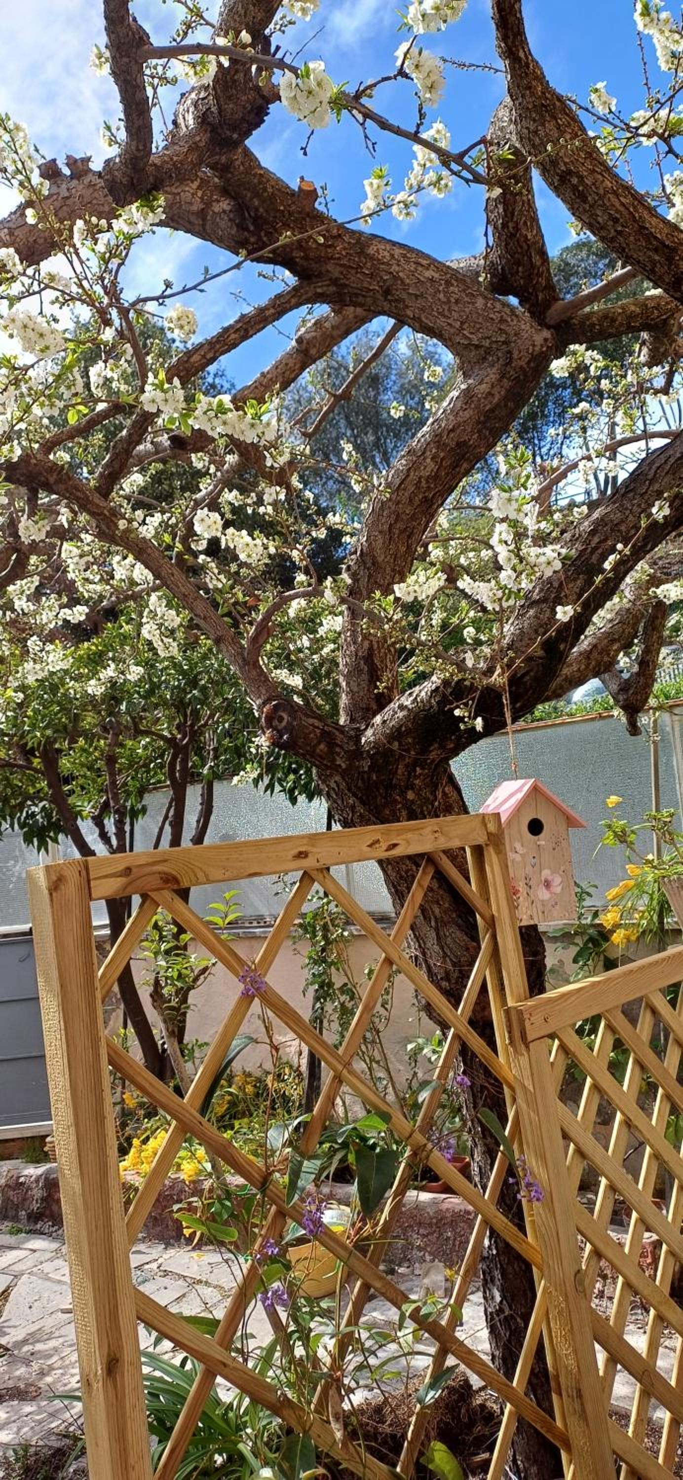 Il giardino dell'Eden 10 - Alloggio Turistico