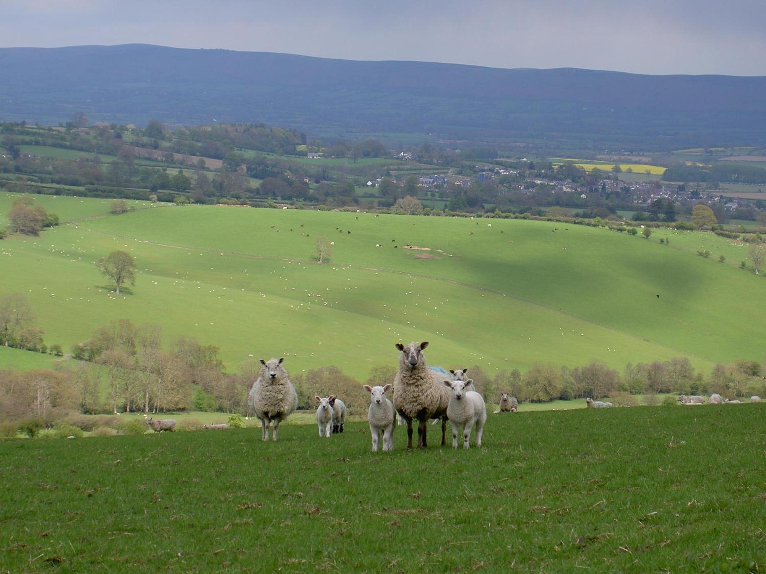 Middle Woodbatch B&B