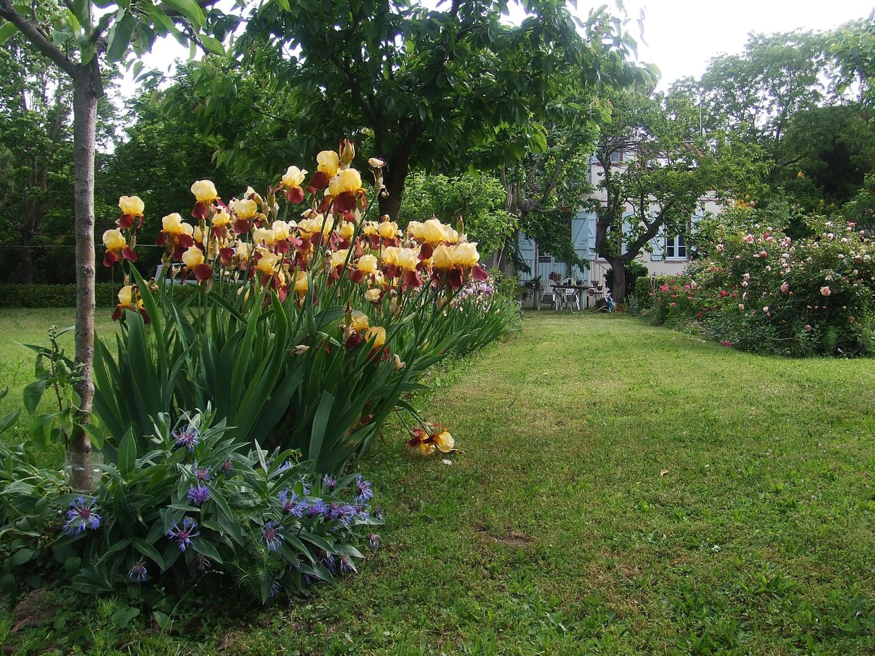 Villa Lea view 5