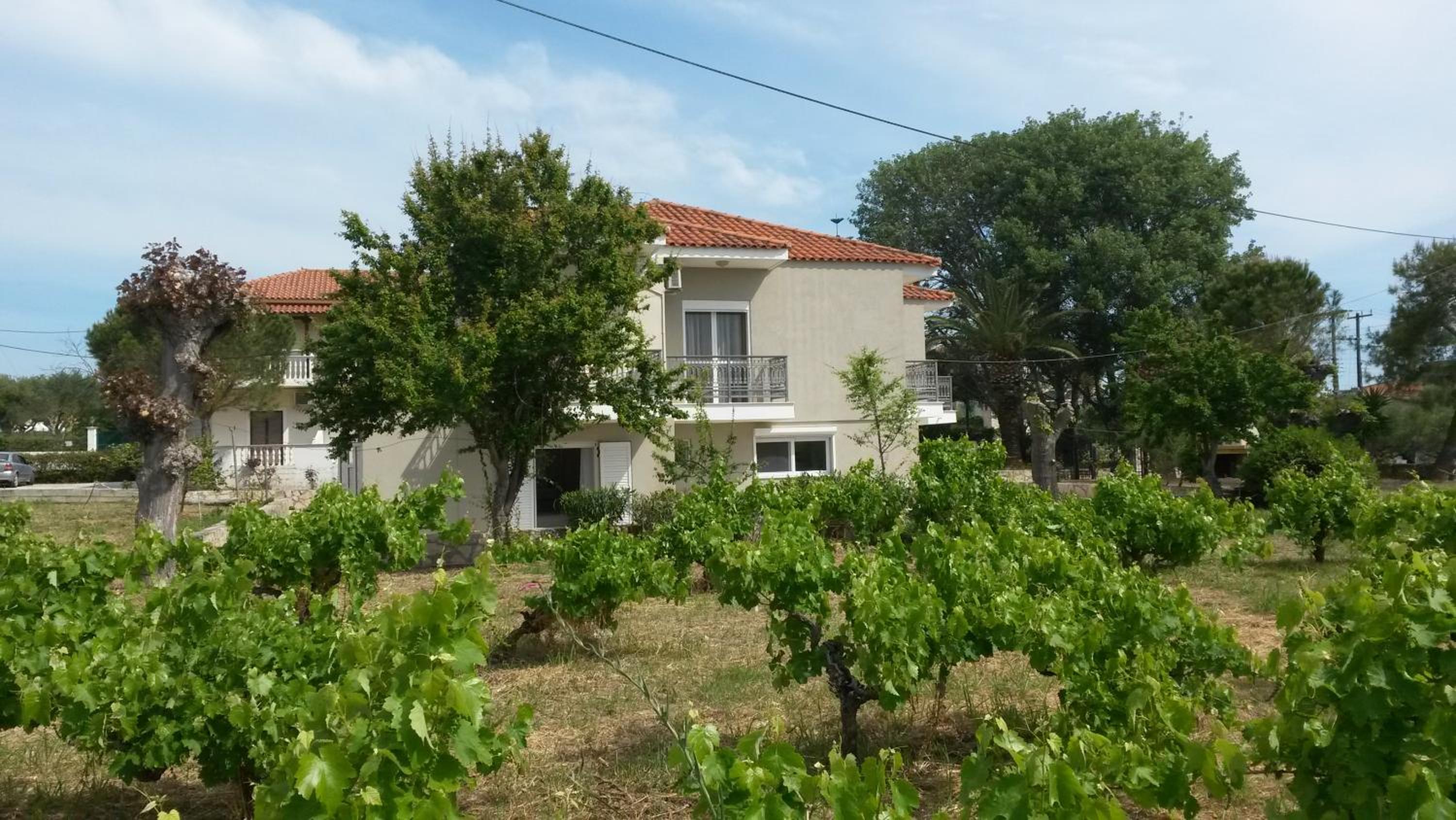 Laganas Vacations - Alba Boutique Apartments - Property Image 21