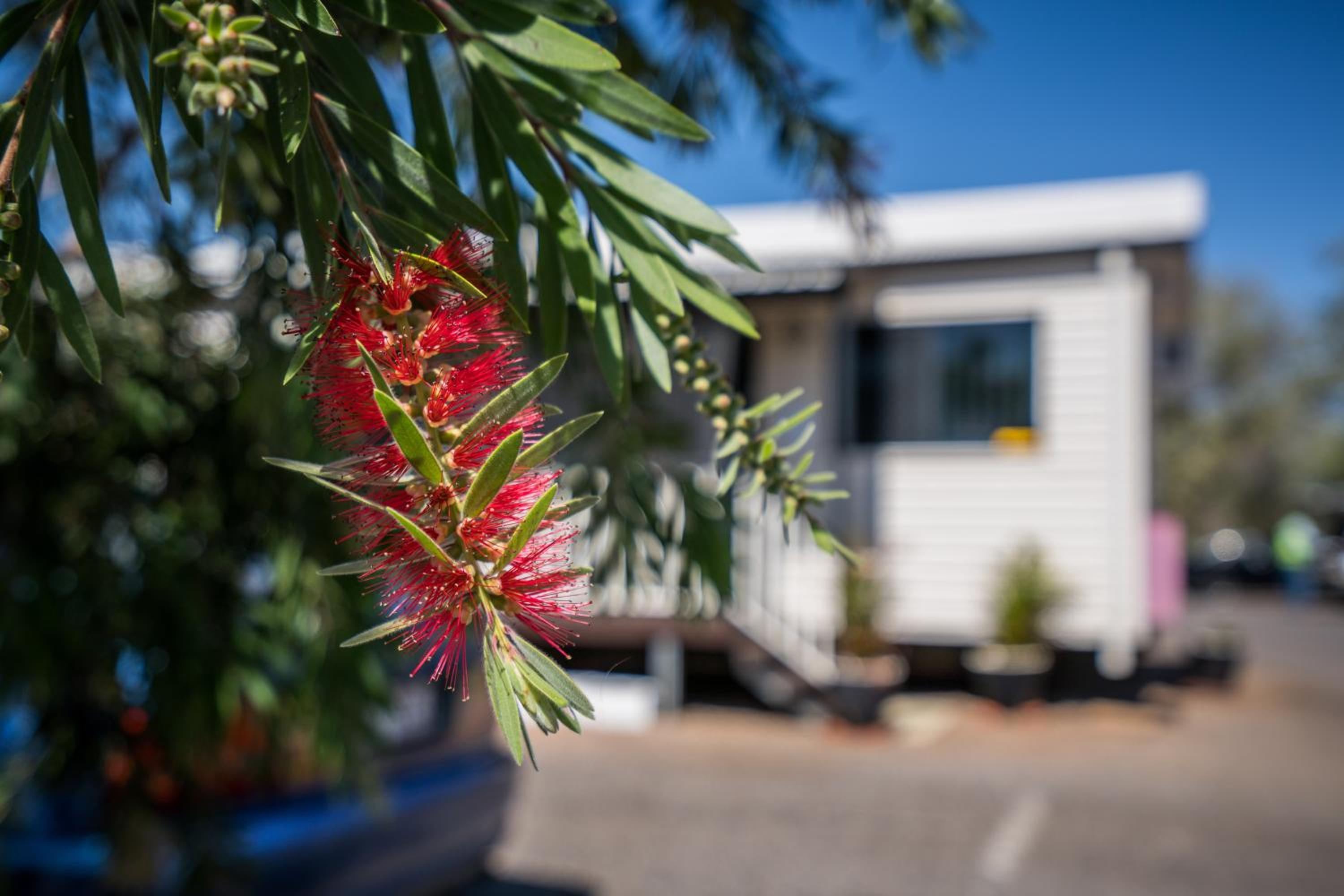Mt Isa City Motel